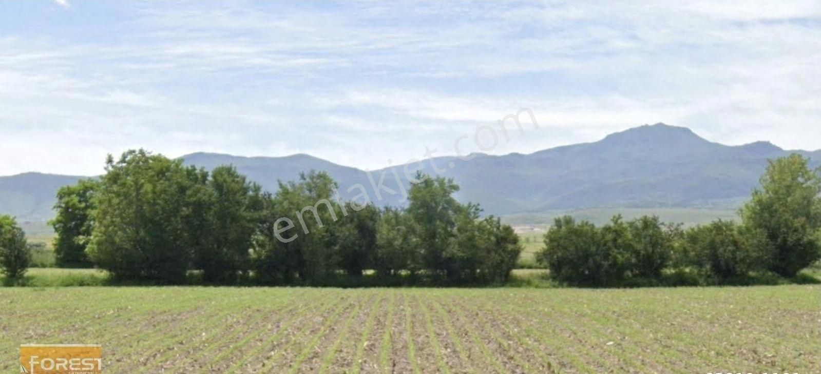 Emirdağ Suvermez Köyü Satılık Tarla Emirdağ Suvermez Köyü Girişinde Satılık Tarla Foresta' Dan