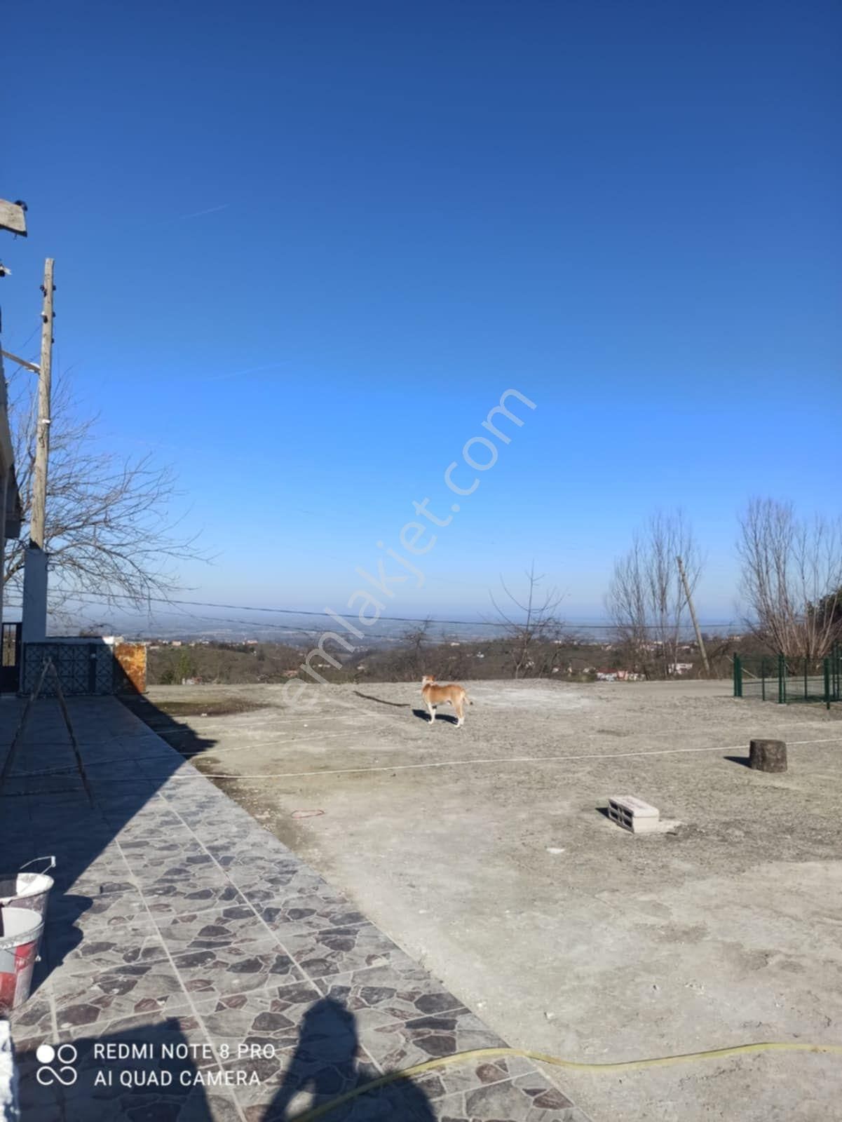 Alibey'den Terme Kocamanbaşı Mah.2 Katli Ev + 10 Dönüm Fındıklık - Görsel 7