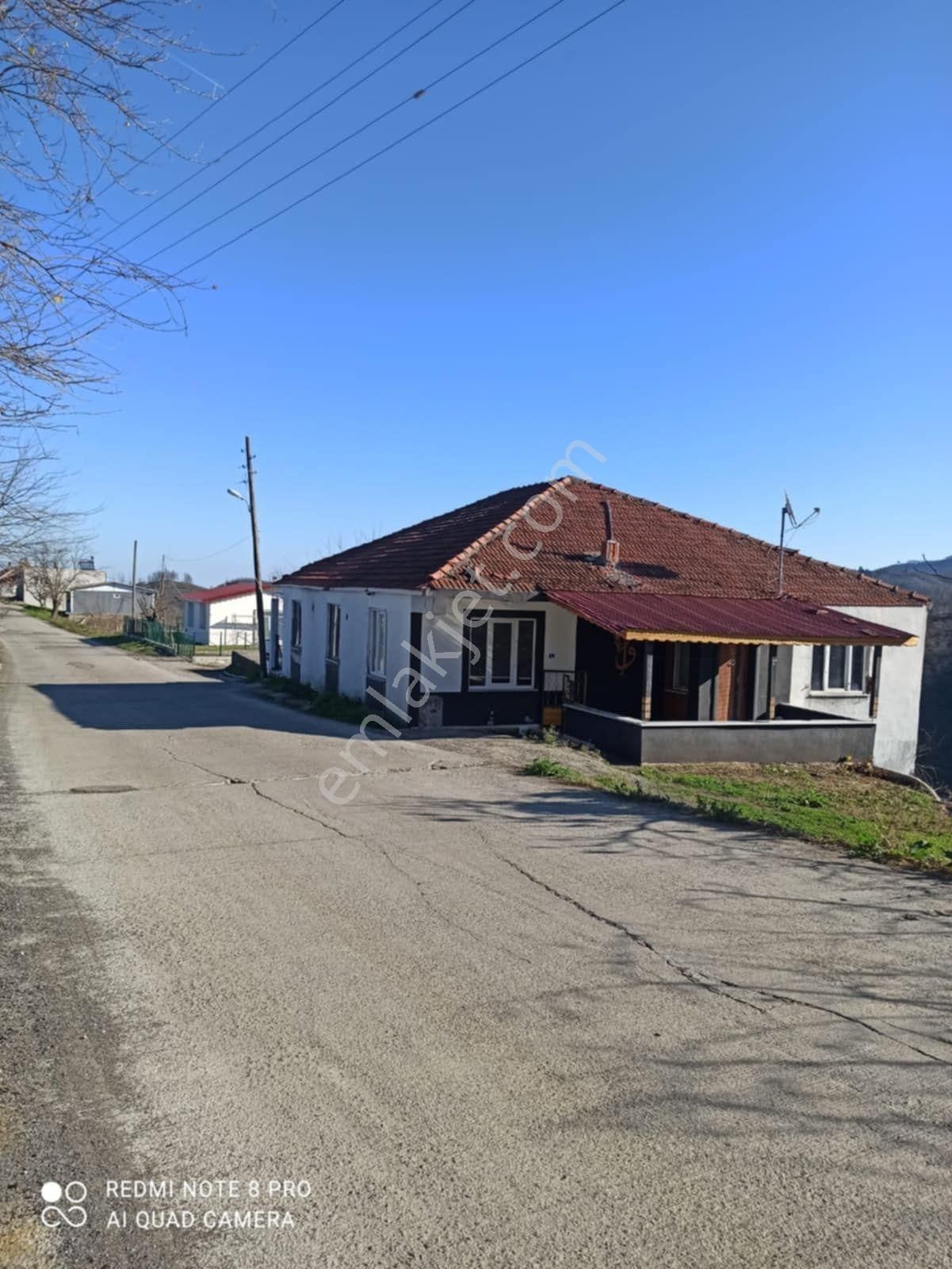 Alibey'den Terme Kocamanbaşı Mah.2 Katli Ev + 10 Dönüm Fındıklık - Görsel 4