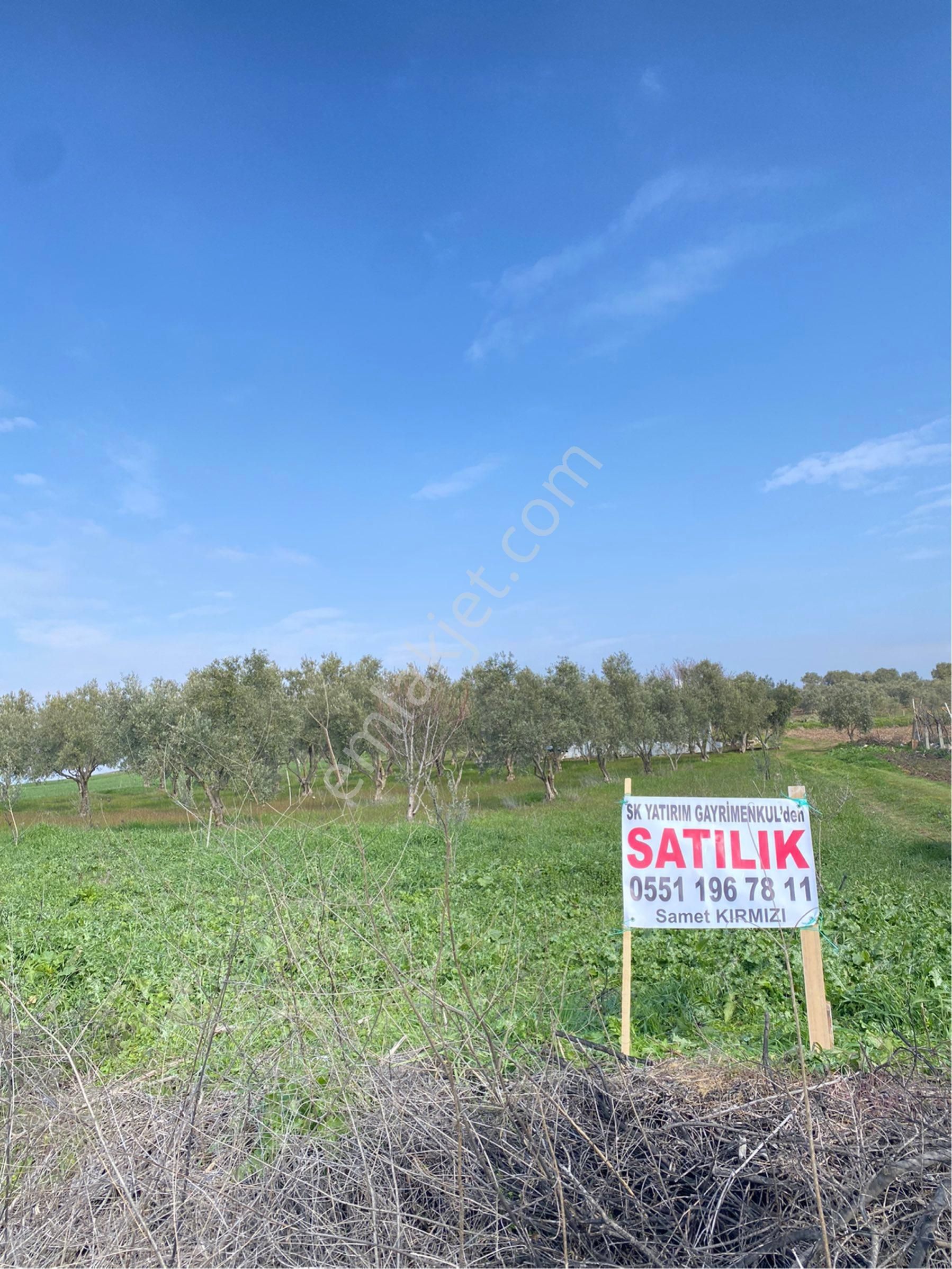 Şehzadeler Tekeliler Satılık Tarla Manisa Şehzadeler Tekeliler Köyü Asfalta Sıfır Satılık Tarla