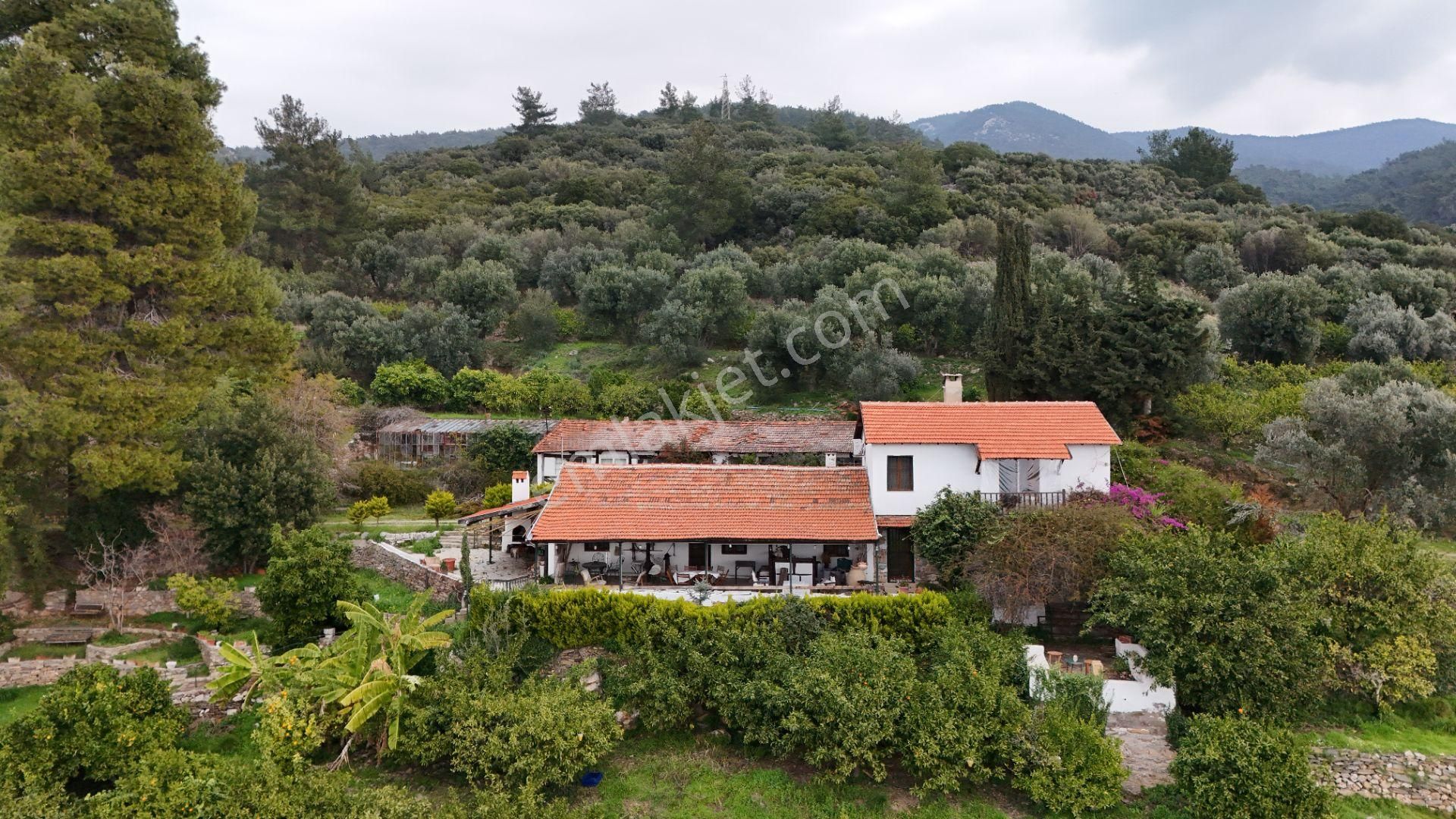 İzmir Menderes Satılık Çiftlik Gümüldür'de Deniz Ve Dağ Manzaralı Emsalsiz Çiftlik Ve Evi