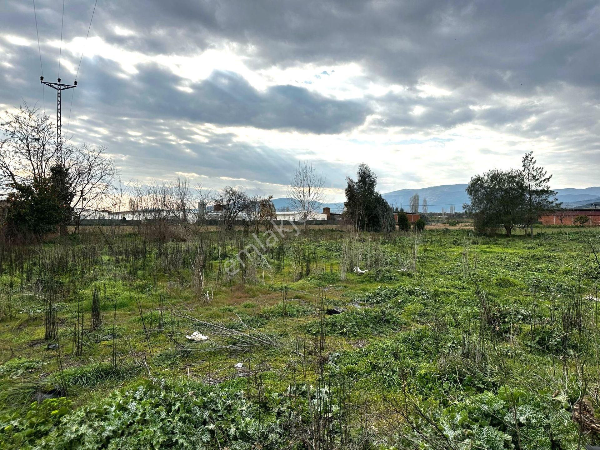 Ödemiş-izmir Asfaltı Üzeri 5030m2 Satılık Arazi - Görsel 18