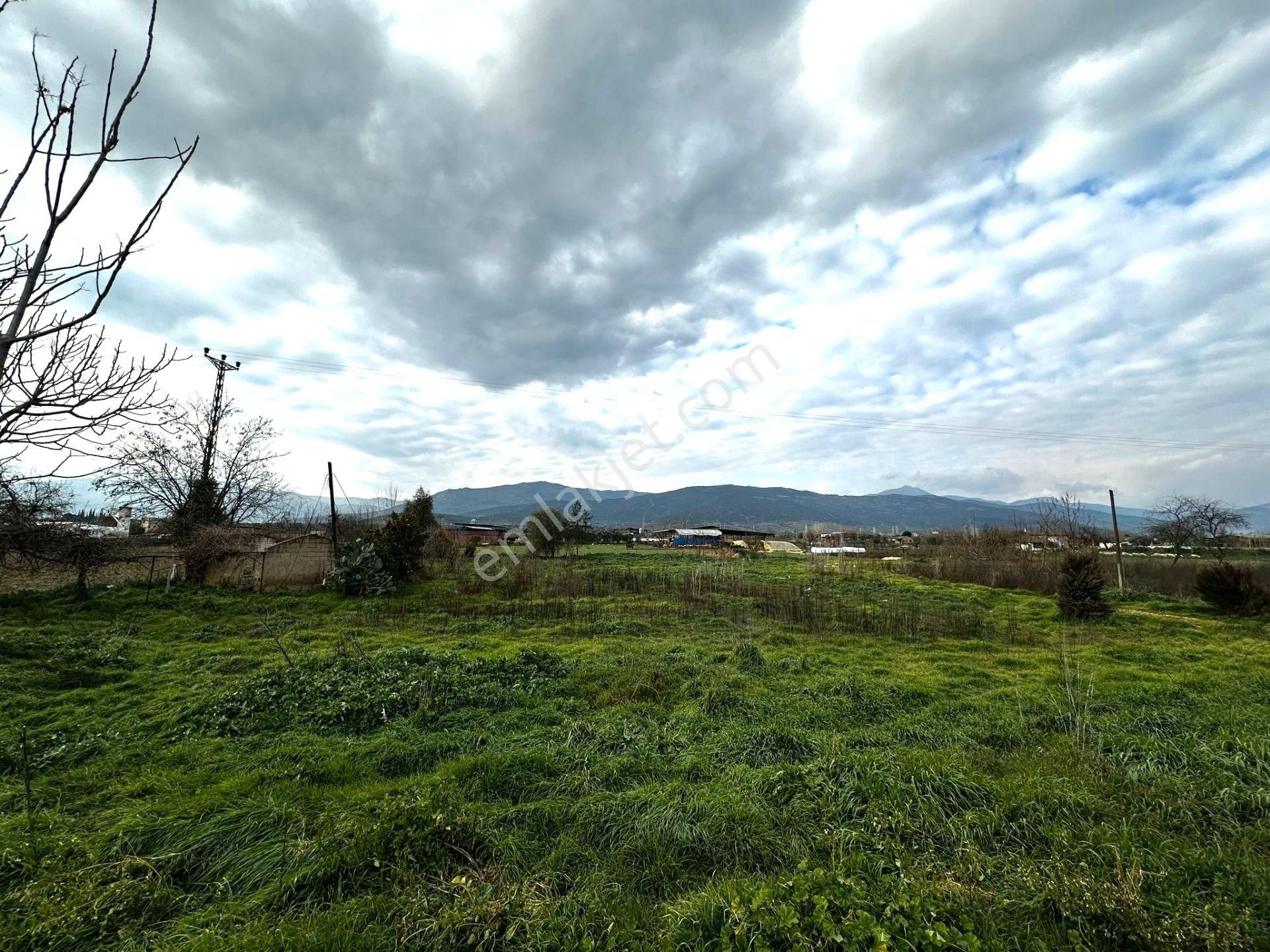 Ödemiş-izmir Asfaltı Üzeri 5030m2 Satılık Arazi - Görsel 28