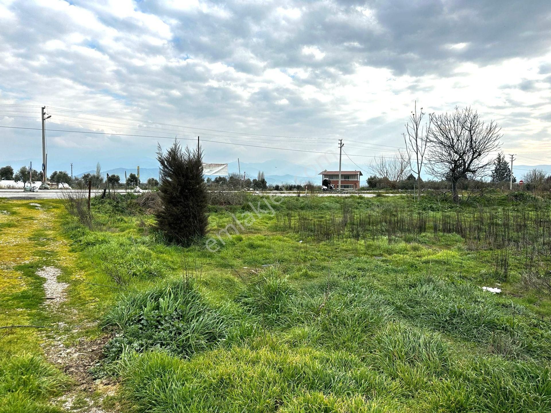 Ödemiş-izmir Asfaltı Üzeri 5030m2 Satılık Arazi - Görsel 10