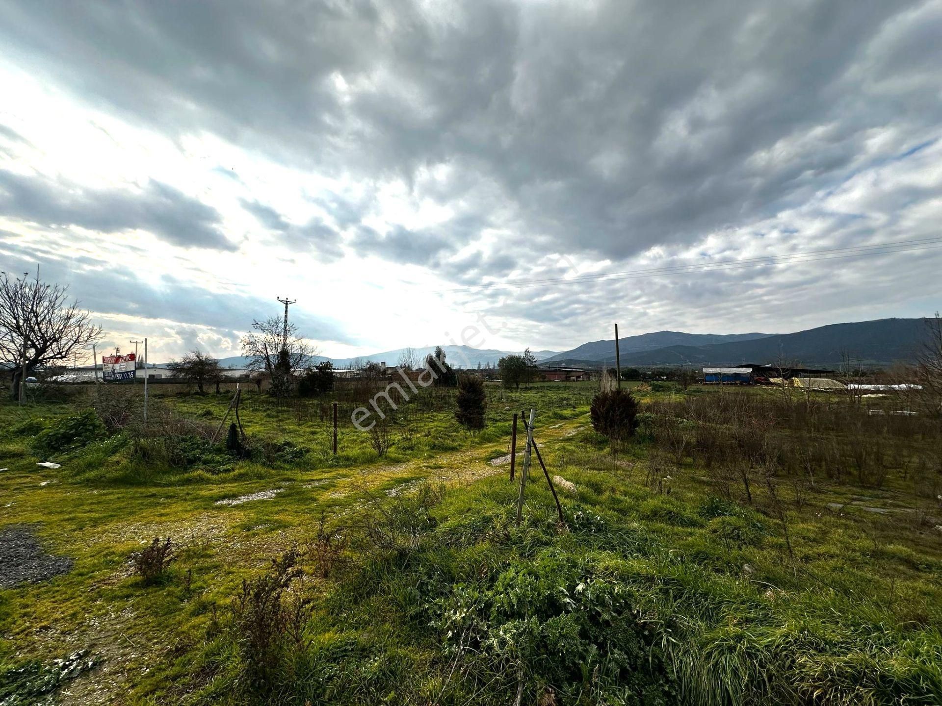 Ödemiş-izmir Asfaltı Üzeri 5030m2 Satılık Arazi - Görsel 27