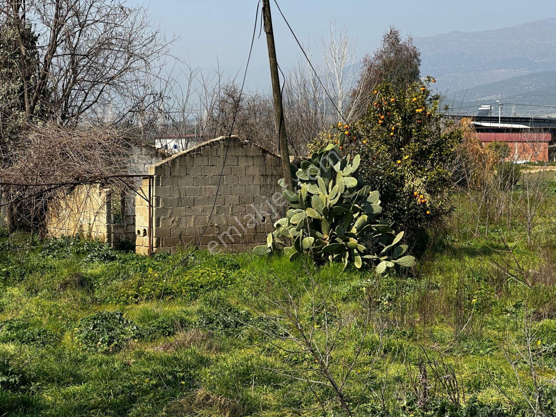 Ödemiş-izmir Asfaltı Üzeri 5030m2 Satılık Arazi - Görsel 8