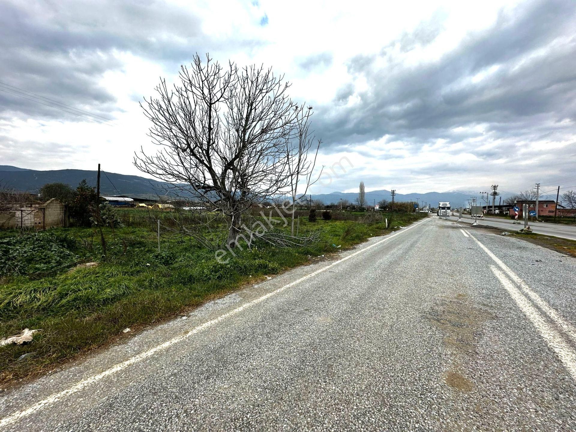 Ödemiş-izmir Asfaltı Üzeri 5030m2 Satılık Arazi - Görsel 24