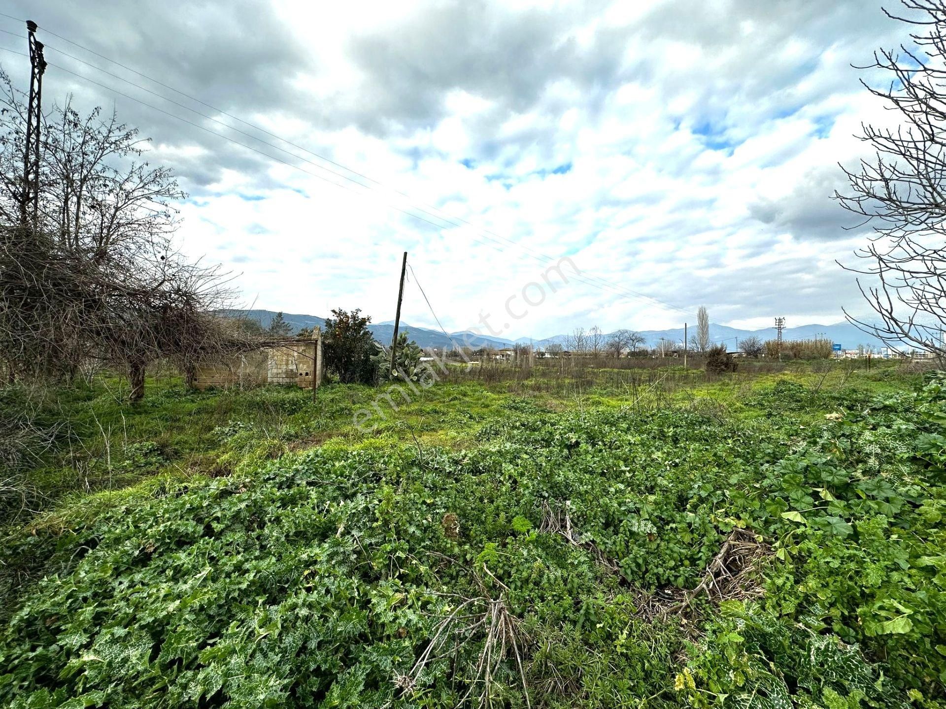 Ödemiş-izmir Asfaltı Üzeri 5030m2 Satılık Arazi - Görsel 26