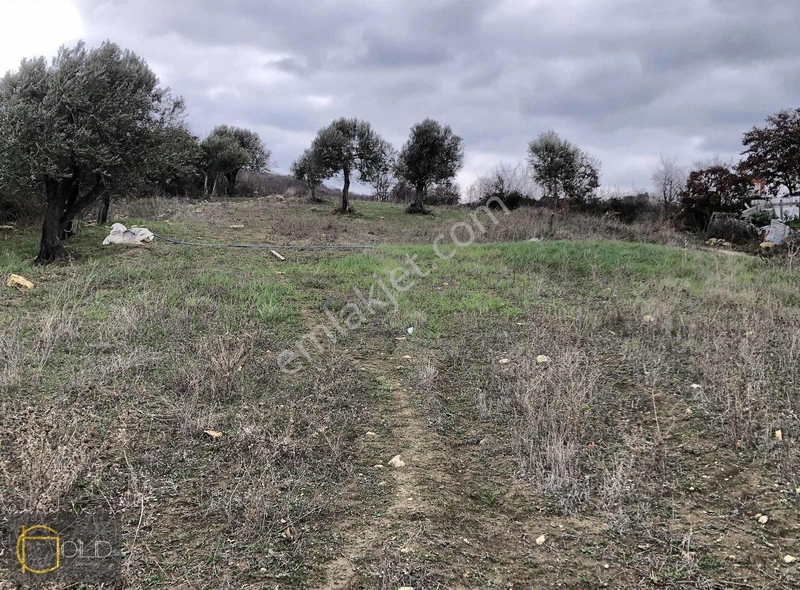 Çanakkale Merkez Musaköyde Kadastro Yolu Olan Satılık Arazi - Görsel 10
