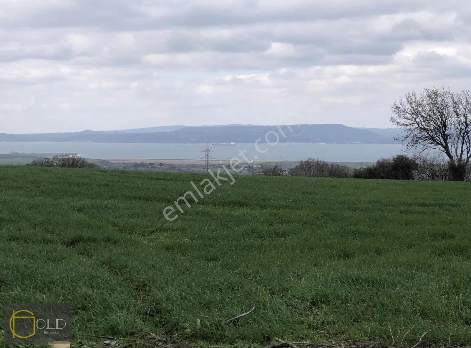 Çanakkale Merkez Musaköyde Kadastro Yolu Olan Satılık Arazi - Görsel 3
