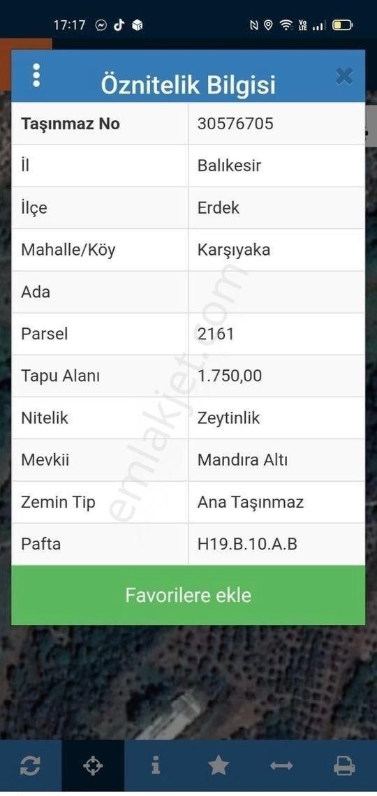 Bandırma Özlem Gayrimenkulden Erdek Karşıyaka Mahallesinde 3 Parsel Yanyana Zeytinlik - Görsel 3