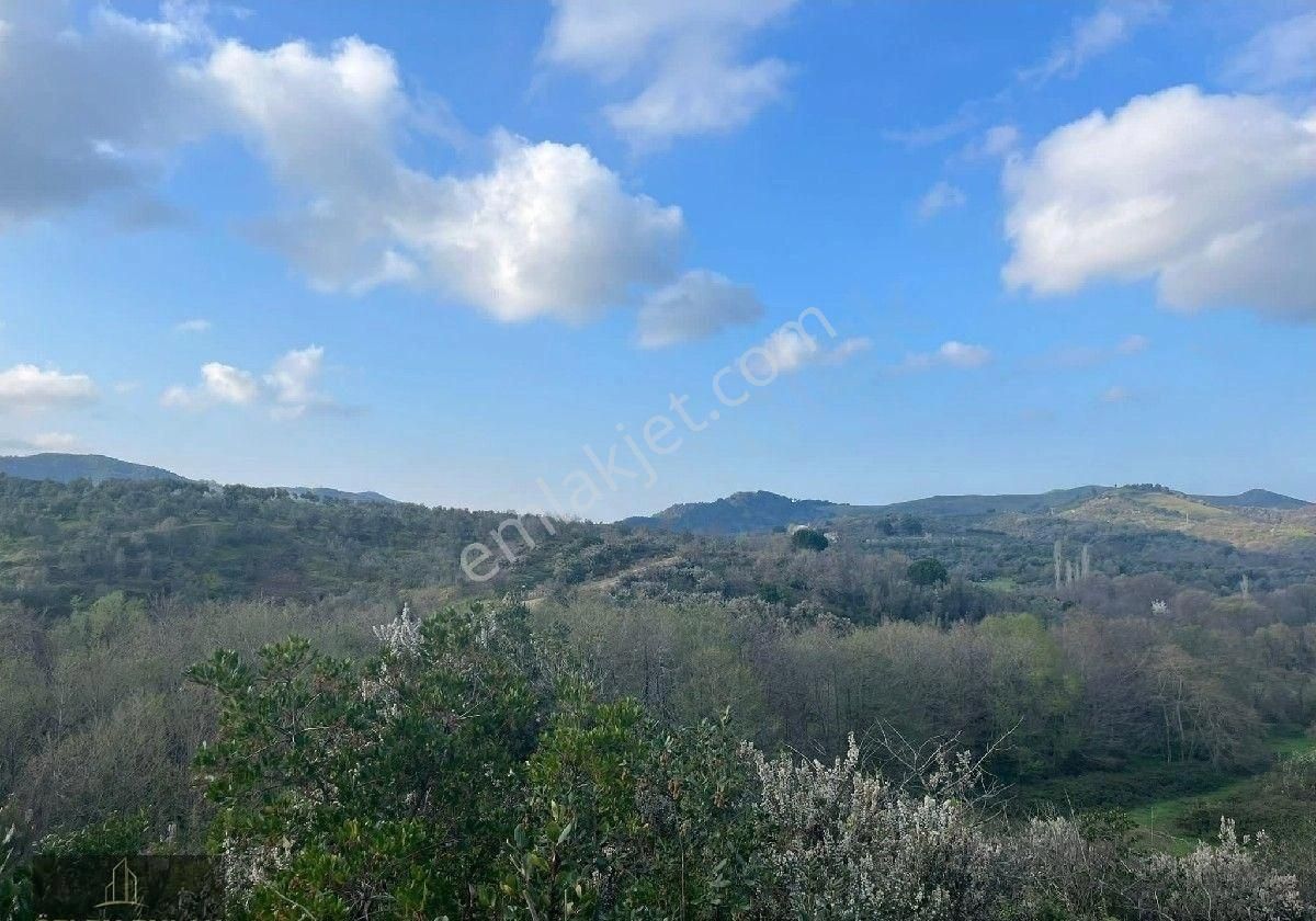 Bandırma Özlem Gayrimenkulden Erdek Karşıyaka Mahallesinde 3 Parsel Yanyana Zeytinlik - Görsel 13