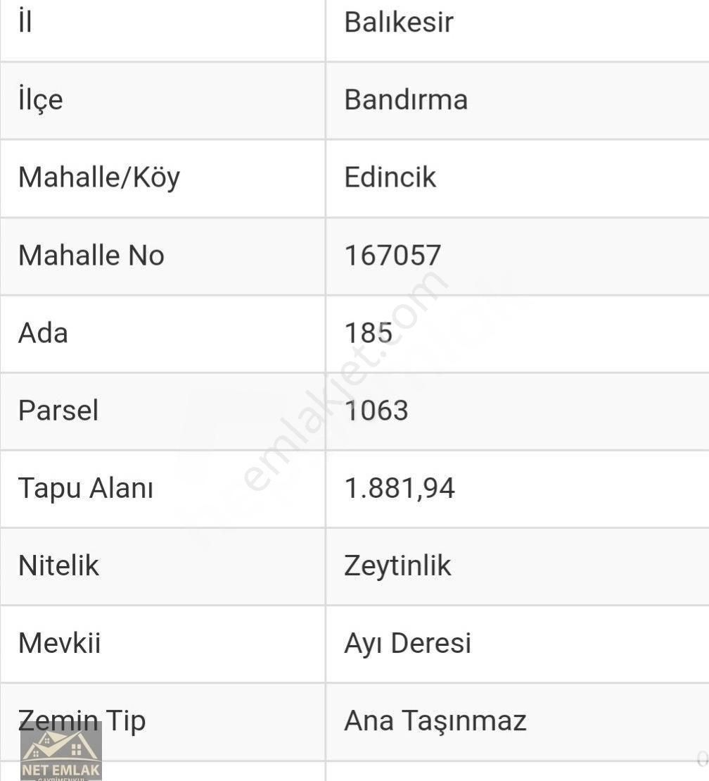 Bandırma Edincik Satılık Zeytinlik Bandırma Edincik Satılık Zeytinlik