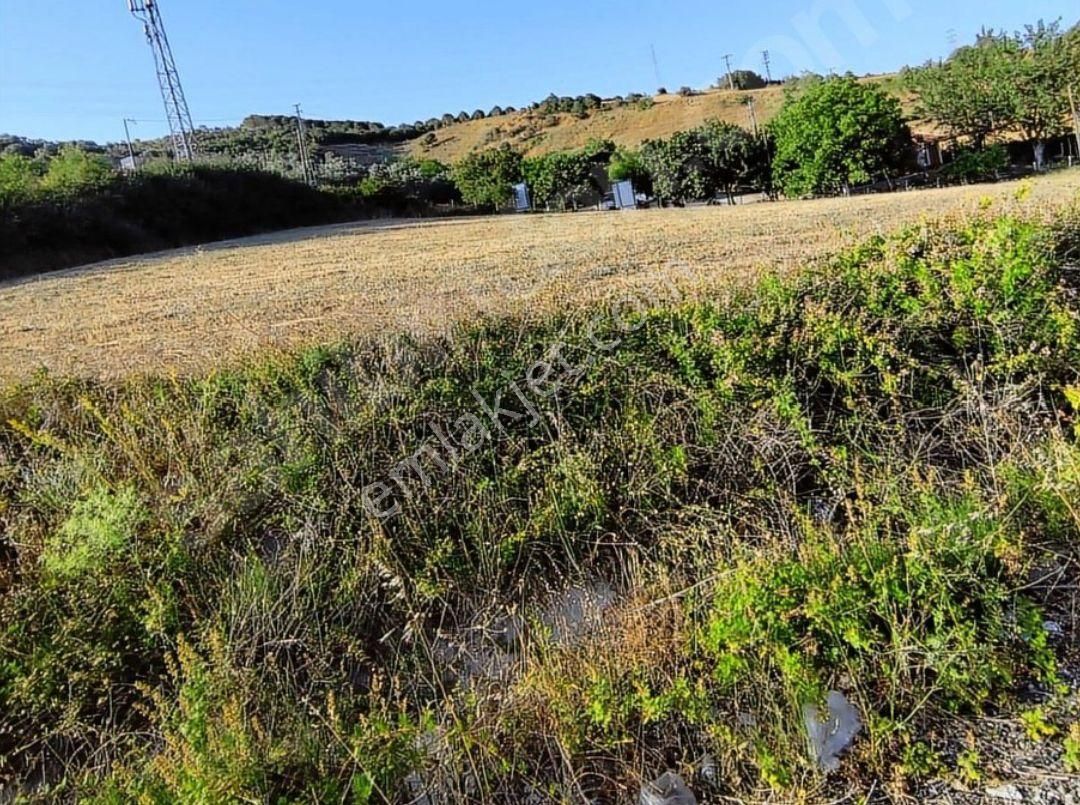 Çınarcık Şenköy Köyü Satılık Tarla Çınarcık Nato Yolu Üzeri