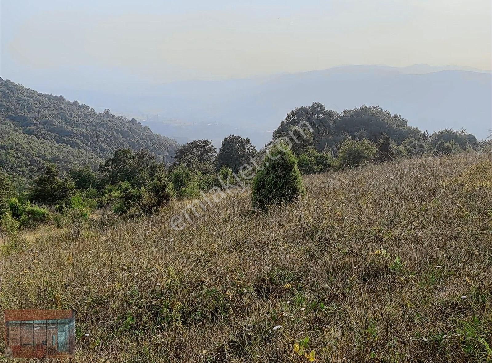 Aktaş 'tan Yenişehir Süleymaniye 'de Satılık Tarla - Görsel 9