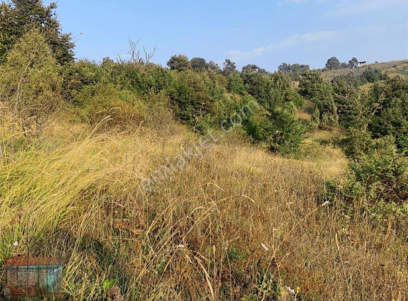 Aktaş 'tan Yenişehir Süleymaniye 'de Satılık Tarla - Görsel 2
