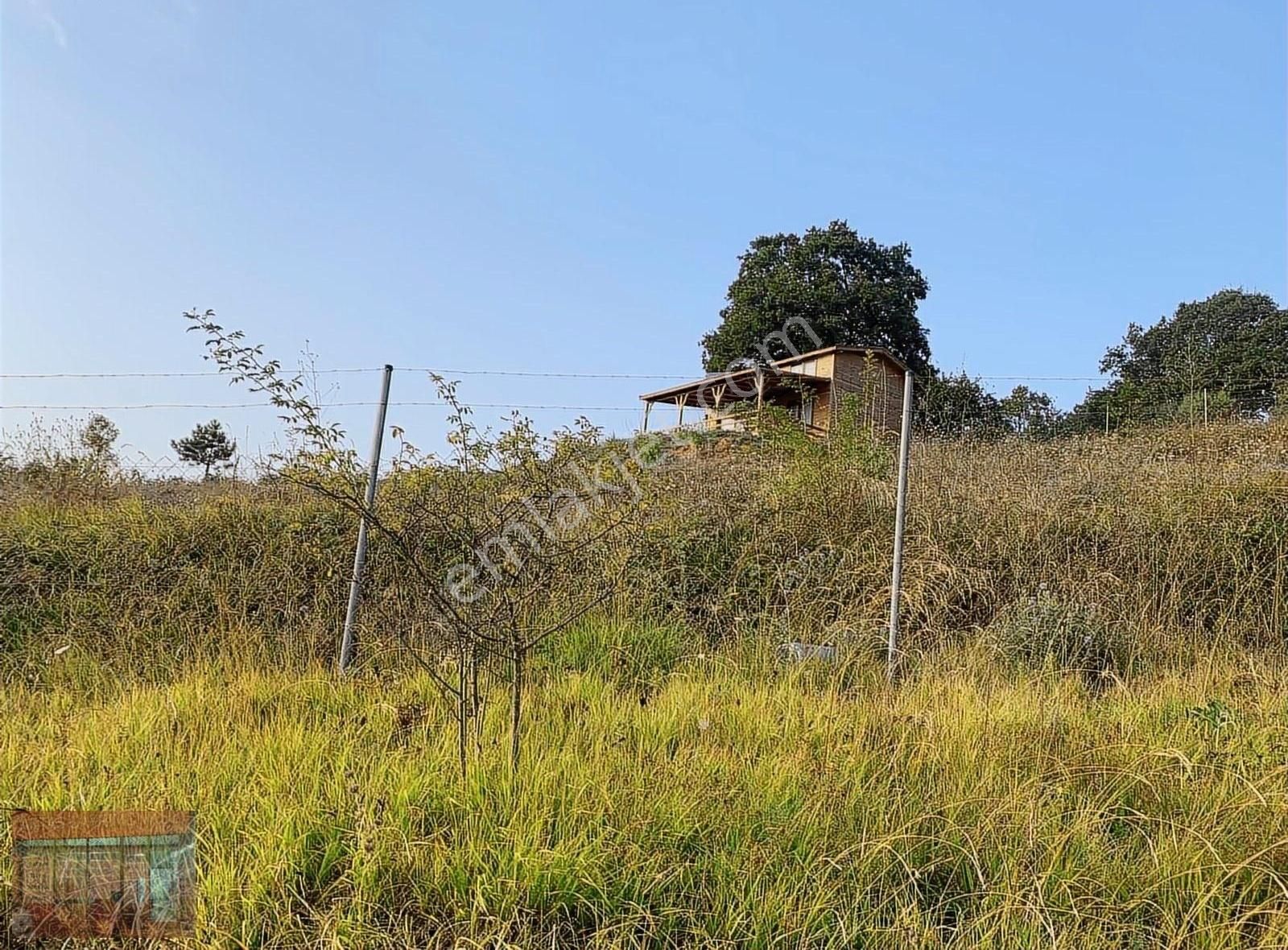 Aktaş 'tan Yenişehir Süleymaniye 'de Satılık Tarla - Görsel 12