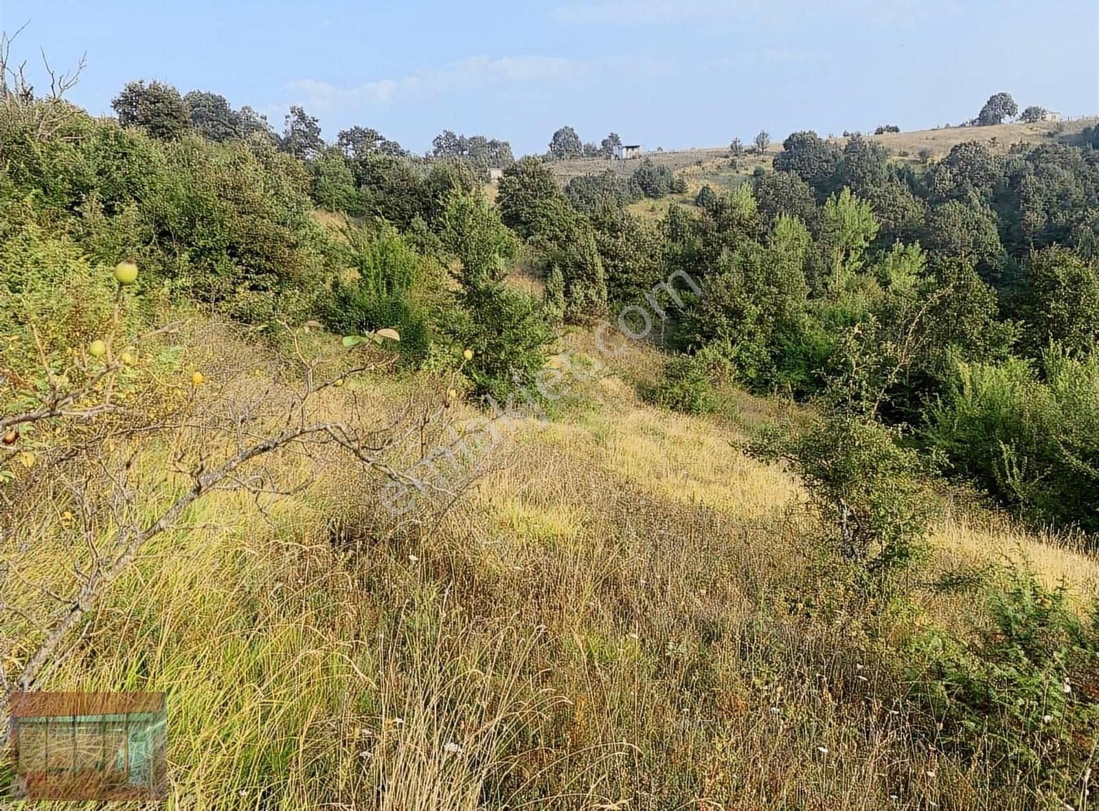 Aktaş 'tan Yenişehir Süleymaniye 'de Satılık Tarla - Görsel 8