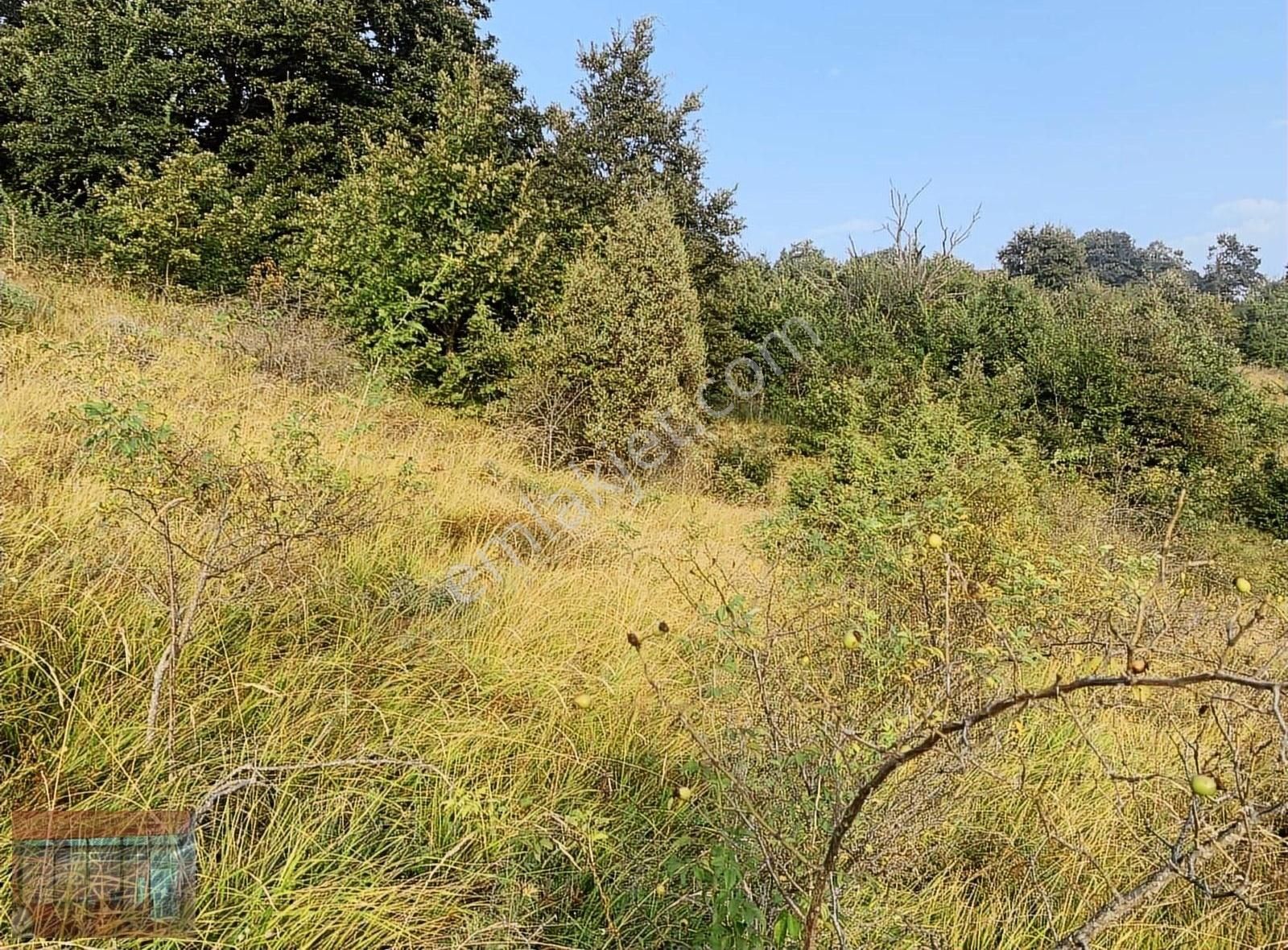 Aktaş 'tan Yenişehir Süleymaniye 'de Satılık Tarla - Görsel 11