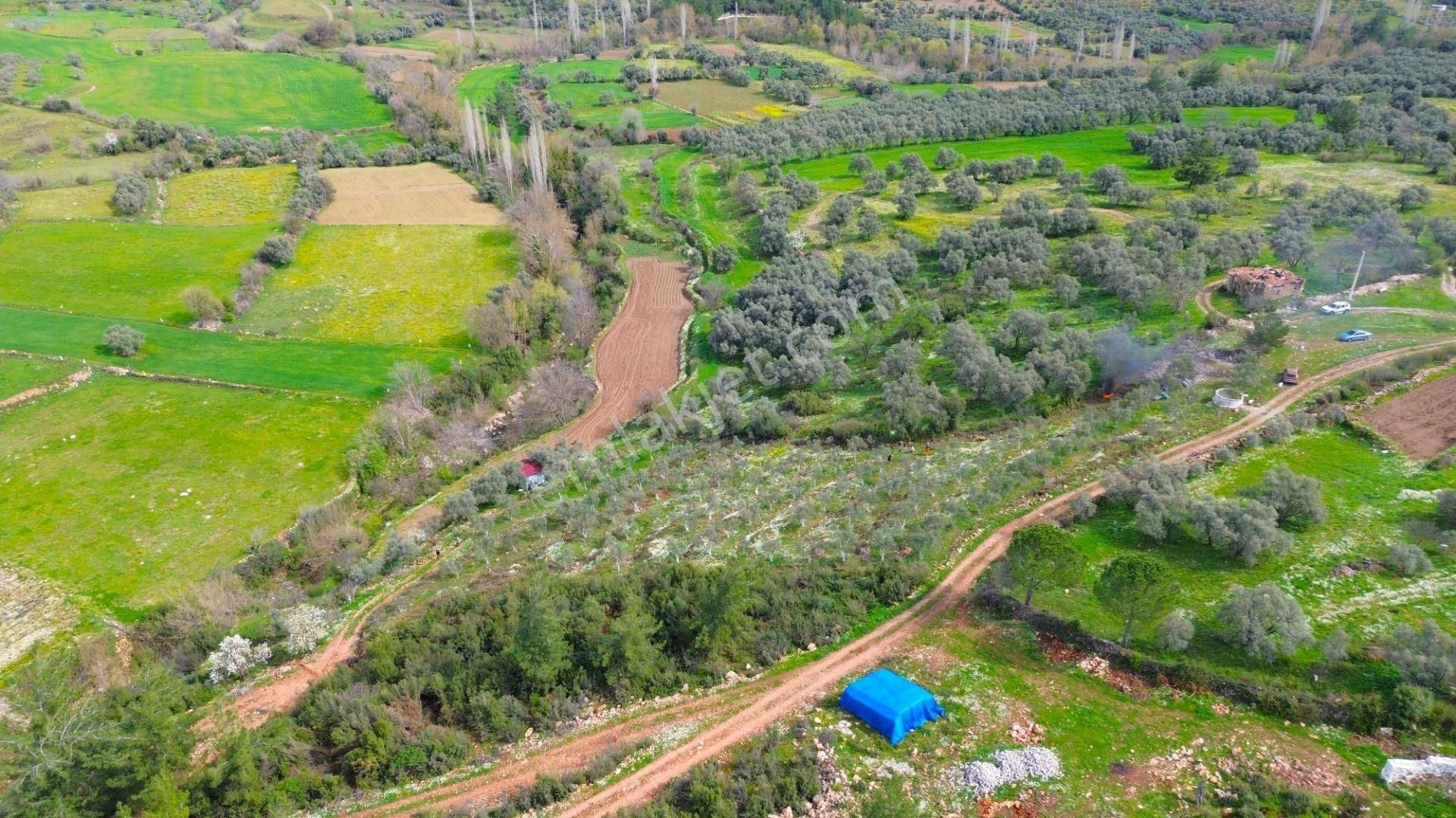Yatağan Cazgırlarda Köyiçi Dere Kenarı Konut İmarlı Arsa - Görsel 5