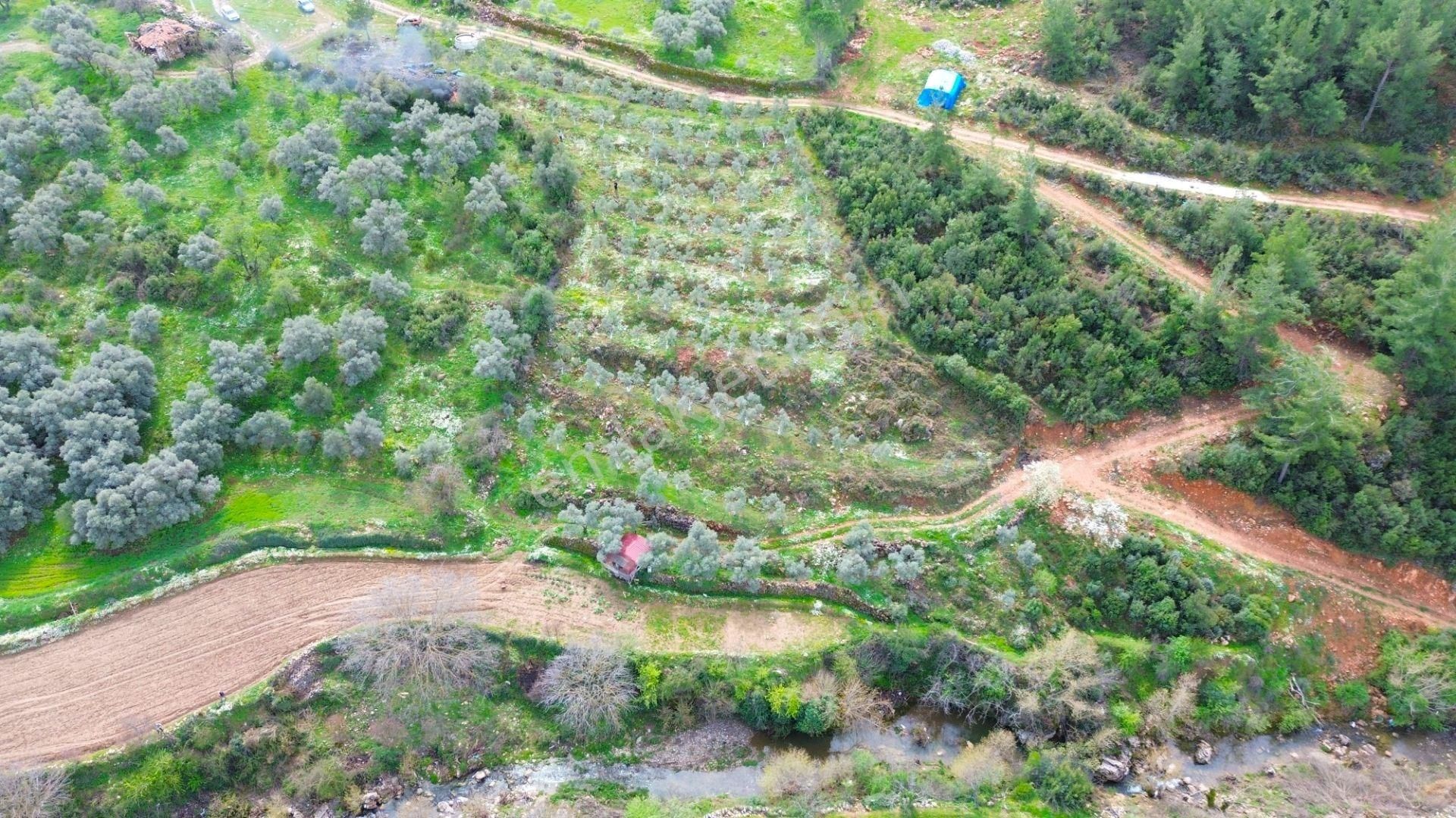 Yatağan Cazgırlarda Köyiçi Dere Kenarı Konut İmarlı Arsa - Görsel 7