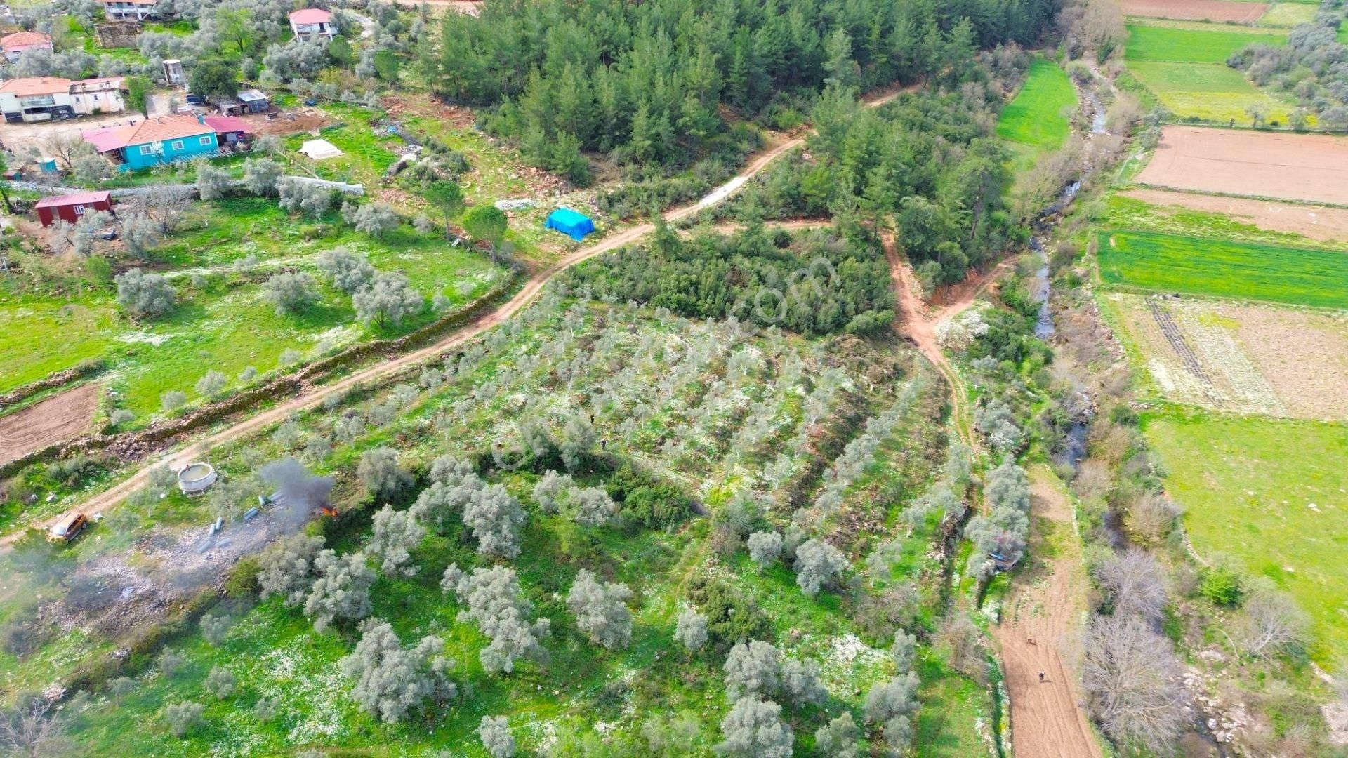 Yatağan Cazgırlarda Köyiçi Dere Kenarı Konut İmarlı Arsa - Görsel 12