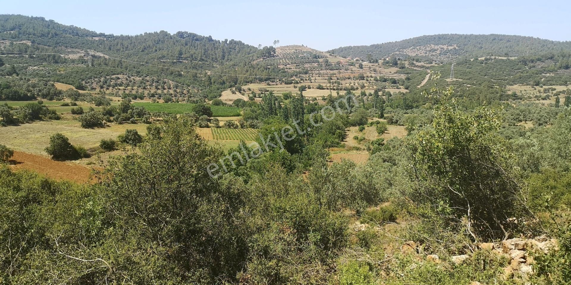 Yatağan Yayla Satılık Konut İmarlı Yatağan Cazgırlarda Köyiçi Dere Kenarı Konut İmarlı Arsa