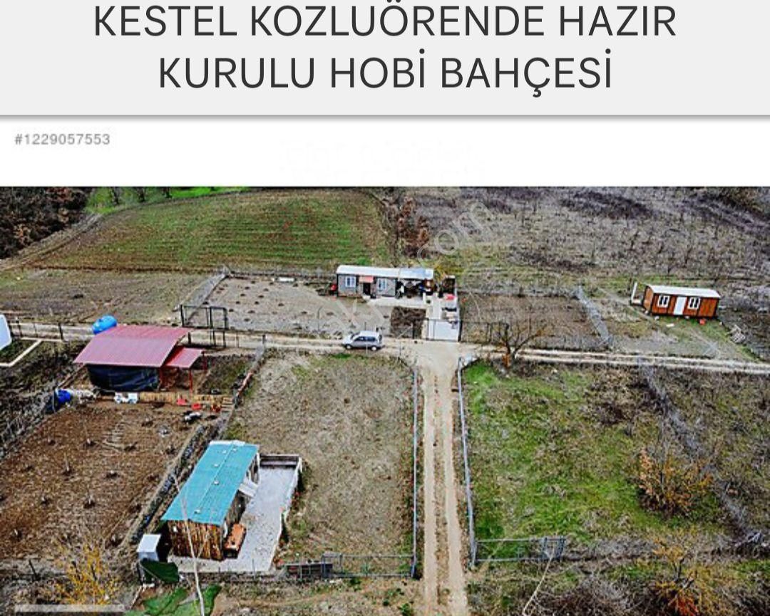 Kestel Kozluören Satılık Bağ & Bahçe Hazır Kurulu Hobi Bahçemi Satlığa Çıkardım