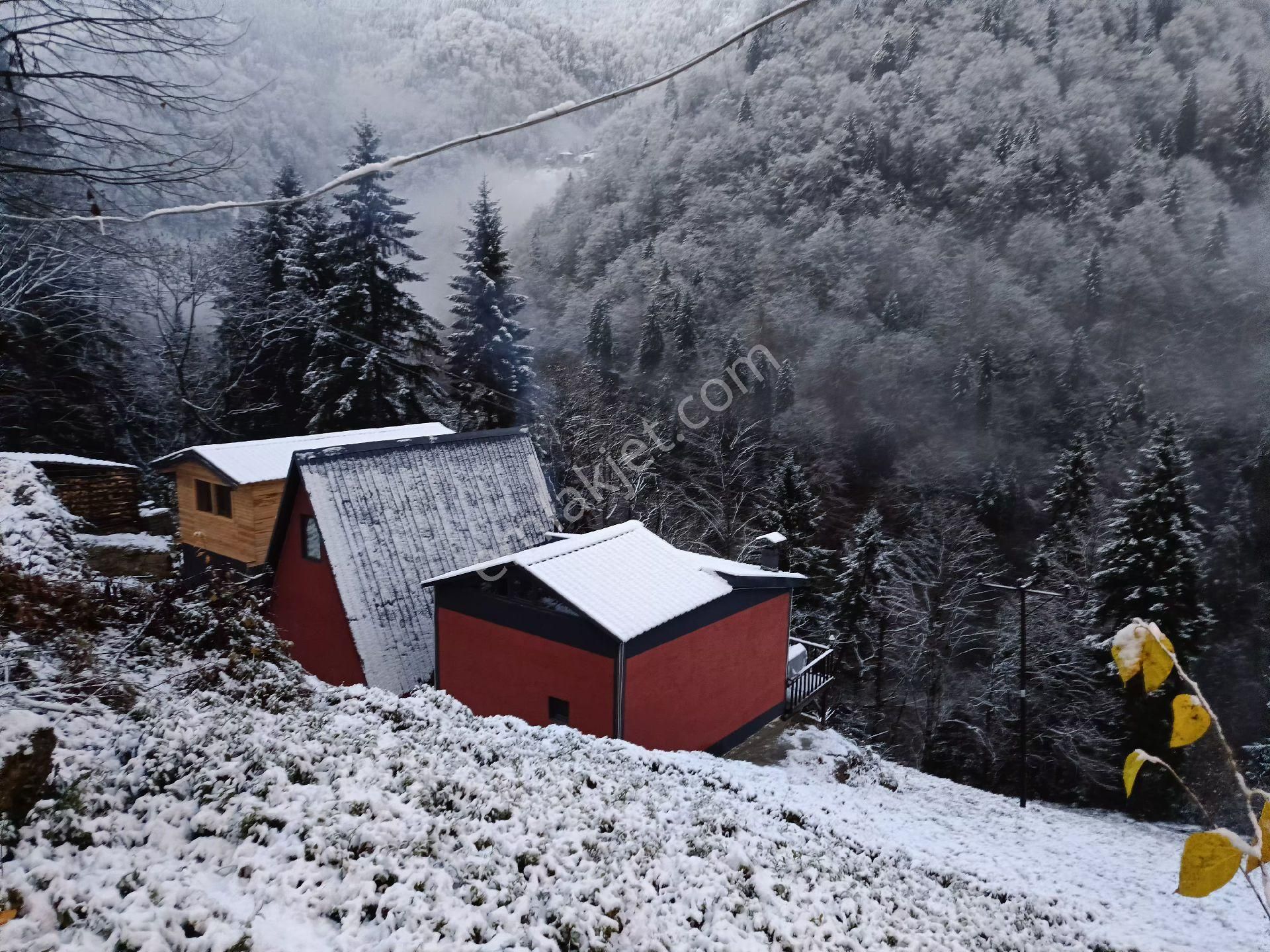 Çamlıhemşin Aşağışimşirli Satılık Arazi Ayder Yaylası Yolu Üzerinde Turizm Kalbinde Konumu Güzel Arazi