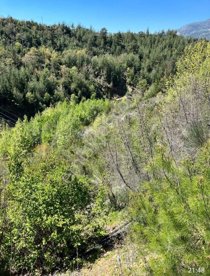 Takaslı Yatırımlık - Görsel 2