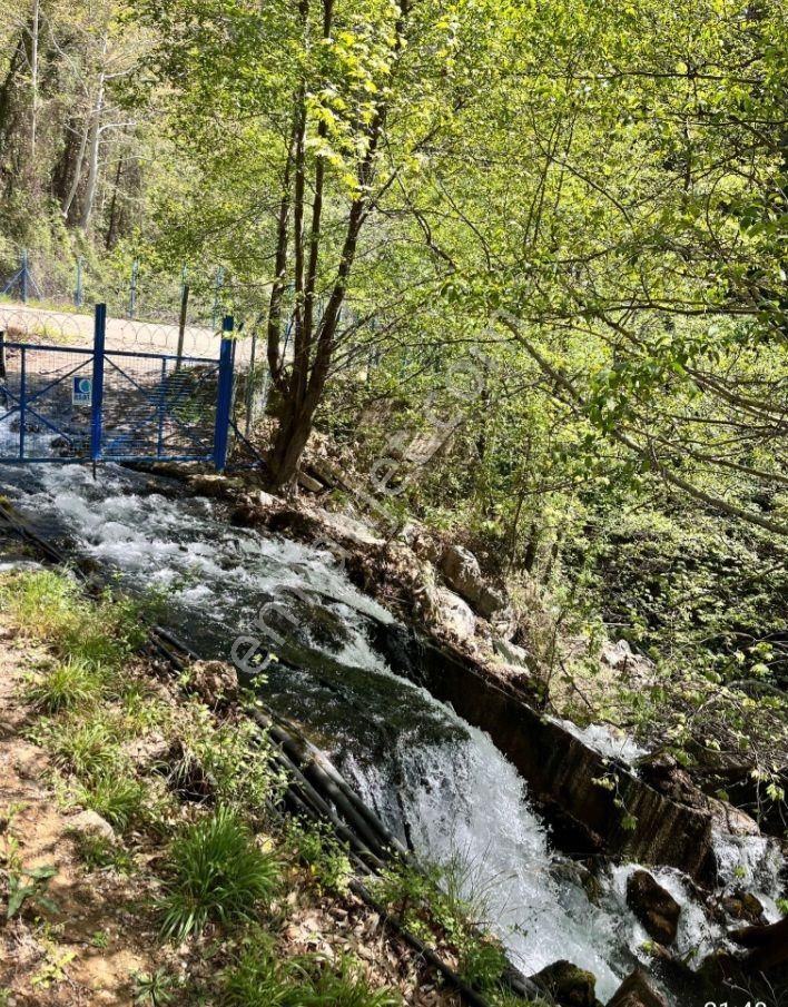 Gazipaşa Şahinler Satılık Tarla Takaslı Yatırımlık