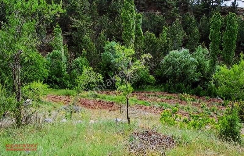 Burdur Merkez Kökez Köyü (Y. Kökez) Satılık Konut İmarlı Uçaravcı'dan Burdur Kökez Mah. Köy Gelişim Alanı İmarlı Arsa