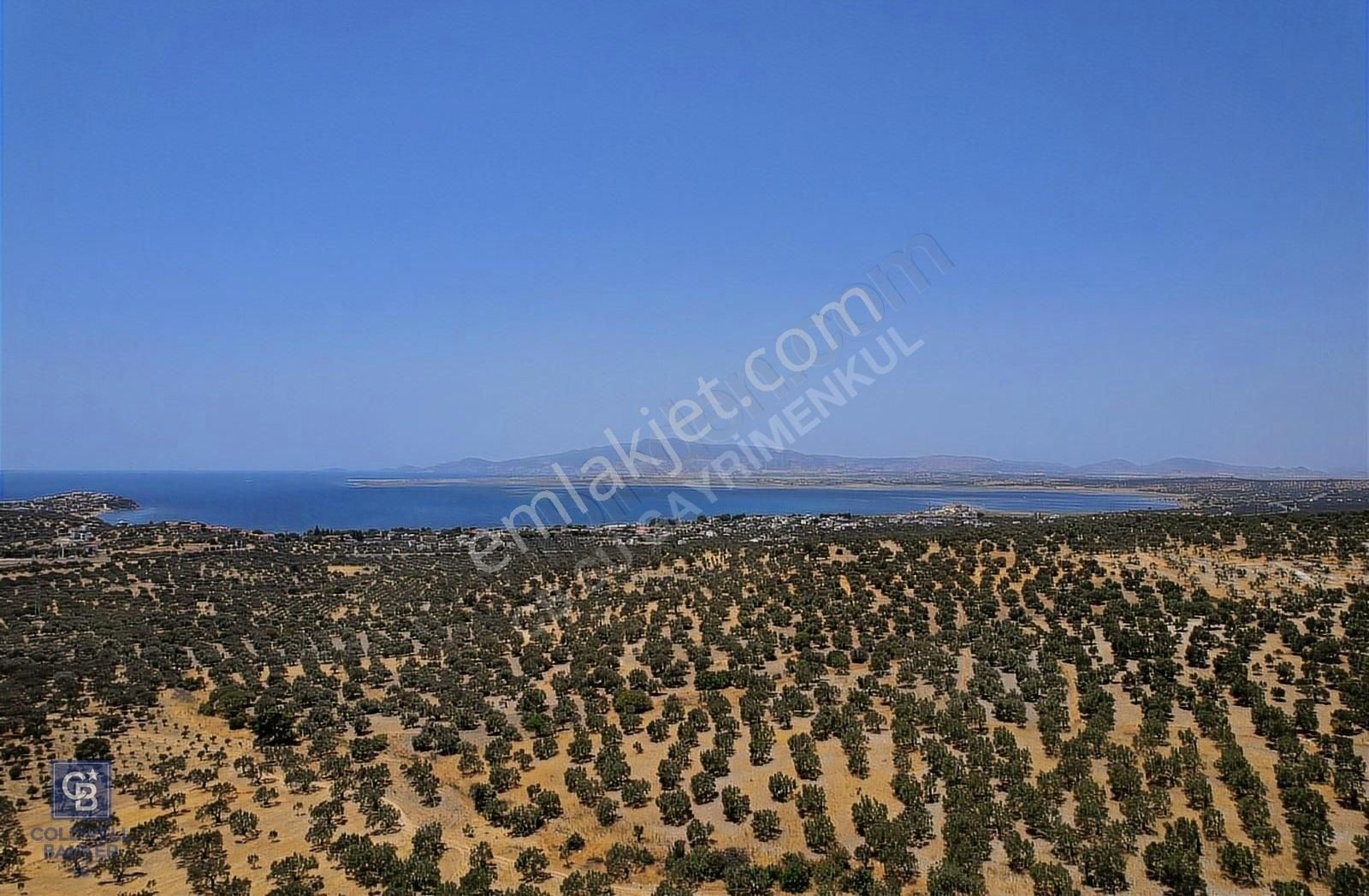 Aliağa Aşağışakran Satılık Zeytinlik Eşsiz Bir Yatırım Fırsatı Deniz Manzaralı Zeytinlik