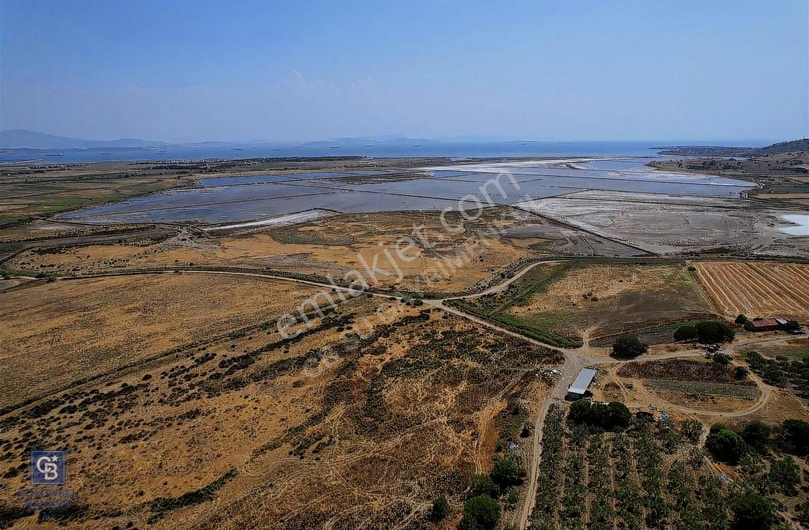 Dikili Çandarlı Satılık Zeytinlik Çandarlı'da Satılık Deniz Manzaralı Zeytinlik