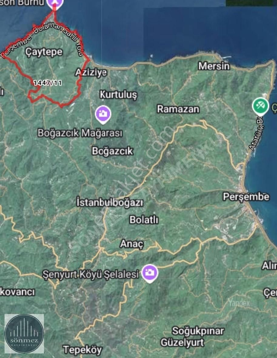 Perşembe Çaytepe Satılık Bağ & Bahçe Sönmez'den Perşembe/çaytepe Mah. 7.800 M² Satılık Arsa