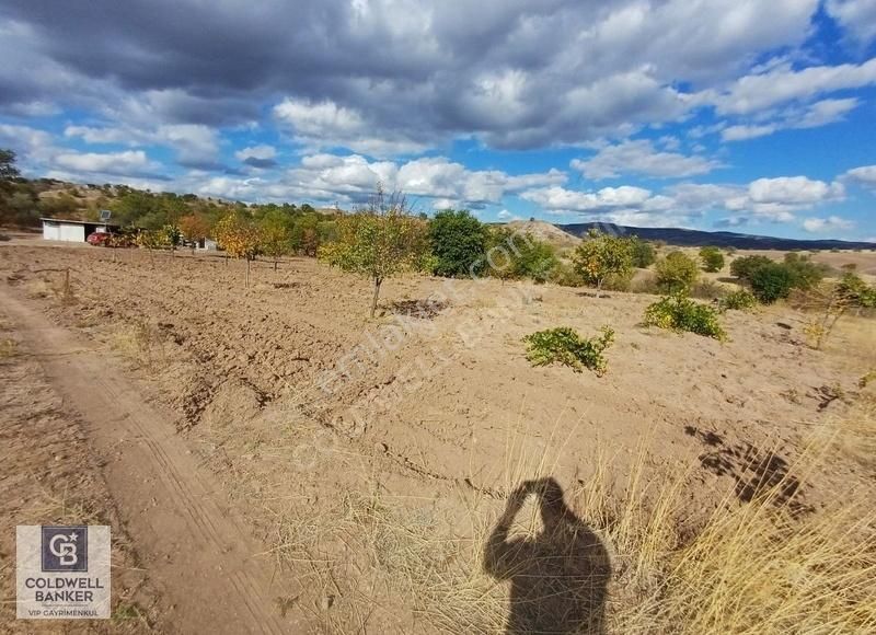 Kızılcahamam Yukarıkaraören Satılık Bağ & Bahçe Kızılcıhamam Yukarıkaraören'de 4390 M2 Satılık Bağ