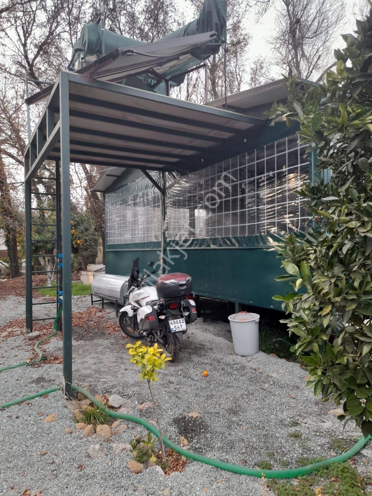 Köyceğiz Toparlarda Satılık 6024 M2 2b Arazisi - Görsel 9