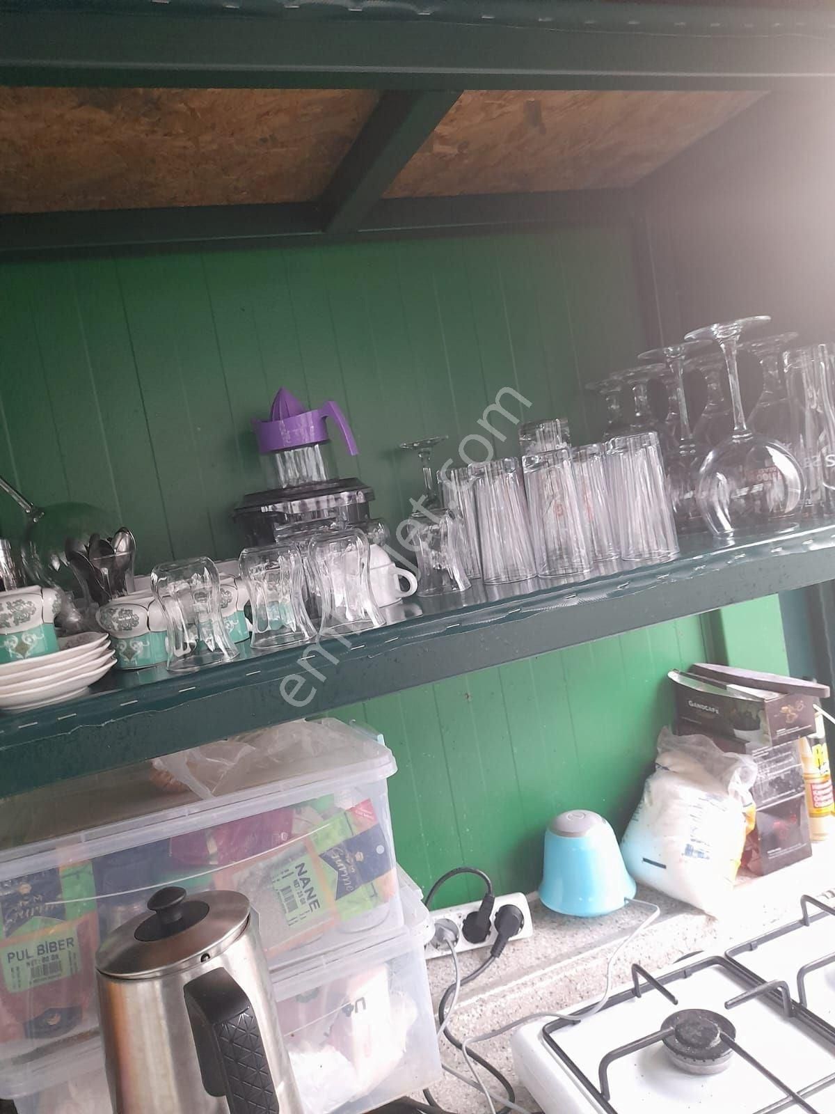 Köyceğiz Toparlarda Satılık 6024 M2 2b Arazisi - Görsel 22