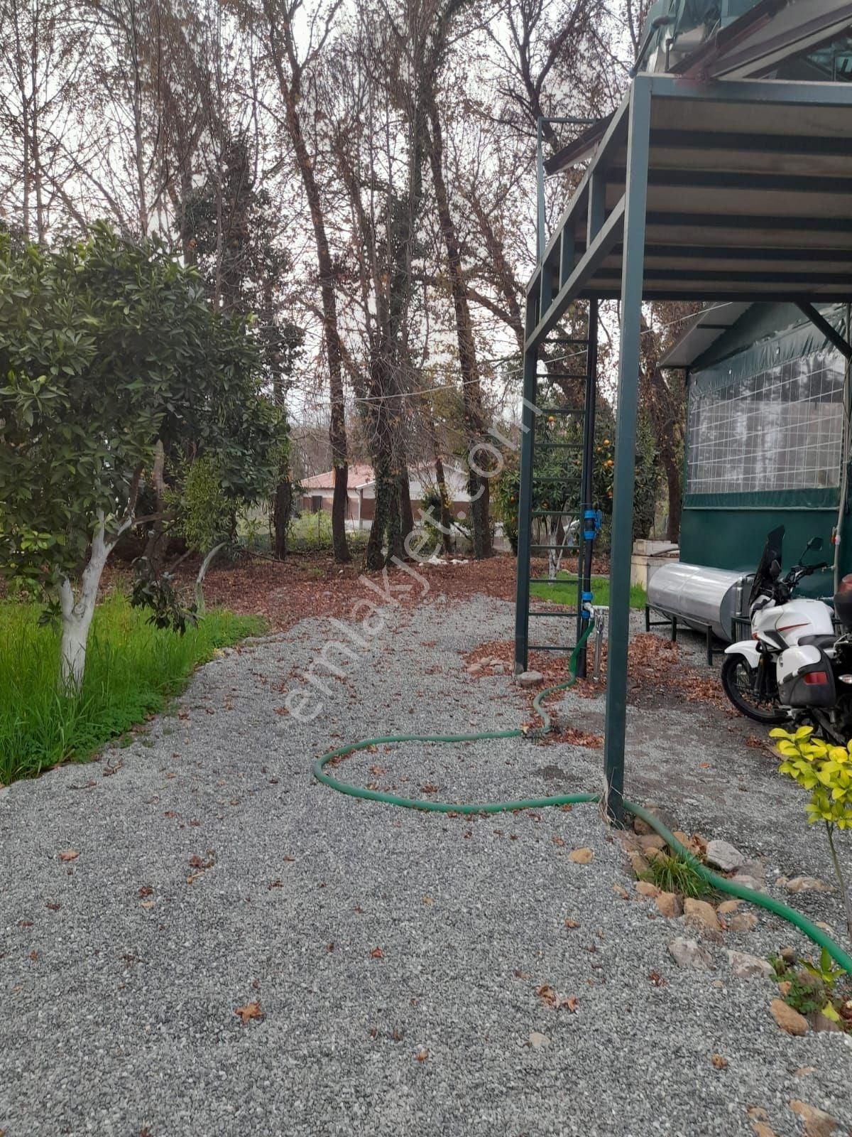Köyceğiz Toparlarda Satılık 6024 M2 2b Arazisi - Görsel 10