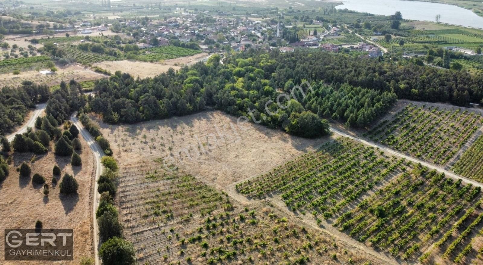 Geyve Bozören Satılık Tarla Ert Gayrimenkuldan Geyve Bozören 3205 M2 Satılık Tarla