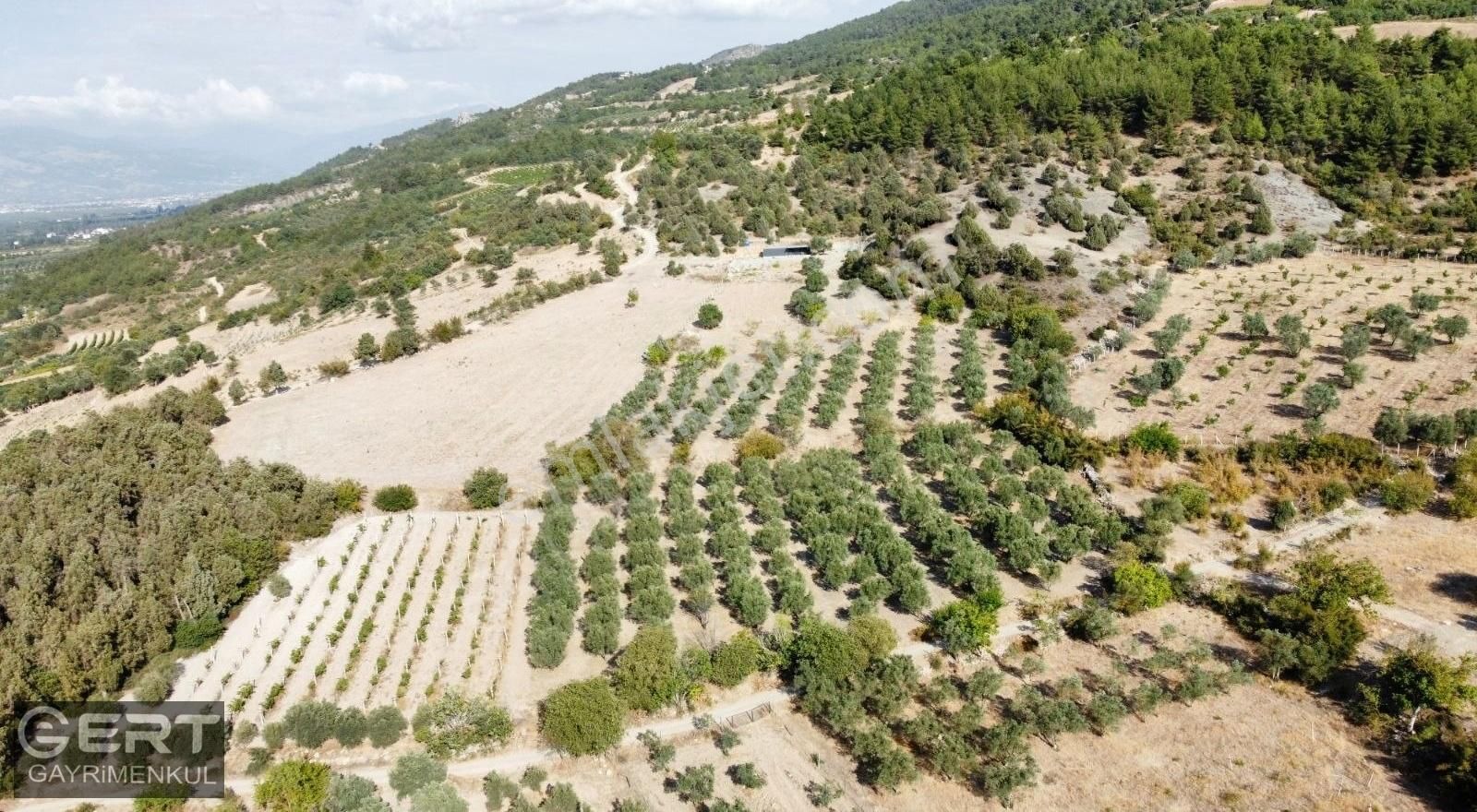 Geyve Bozören Satılık Tarla Ert Gayrimenkuldan Geyve Bozören 3680 M2 Satılık Tarla