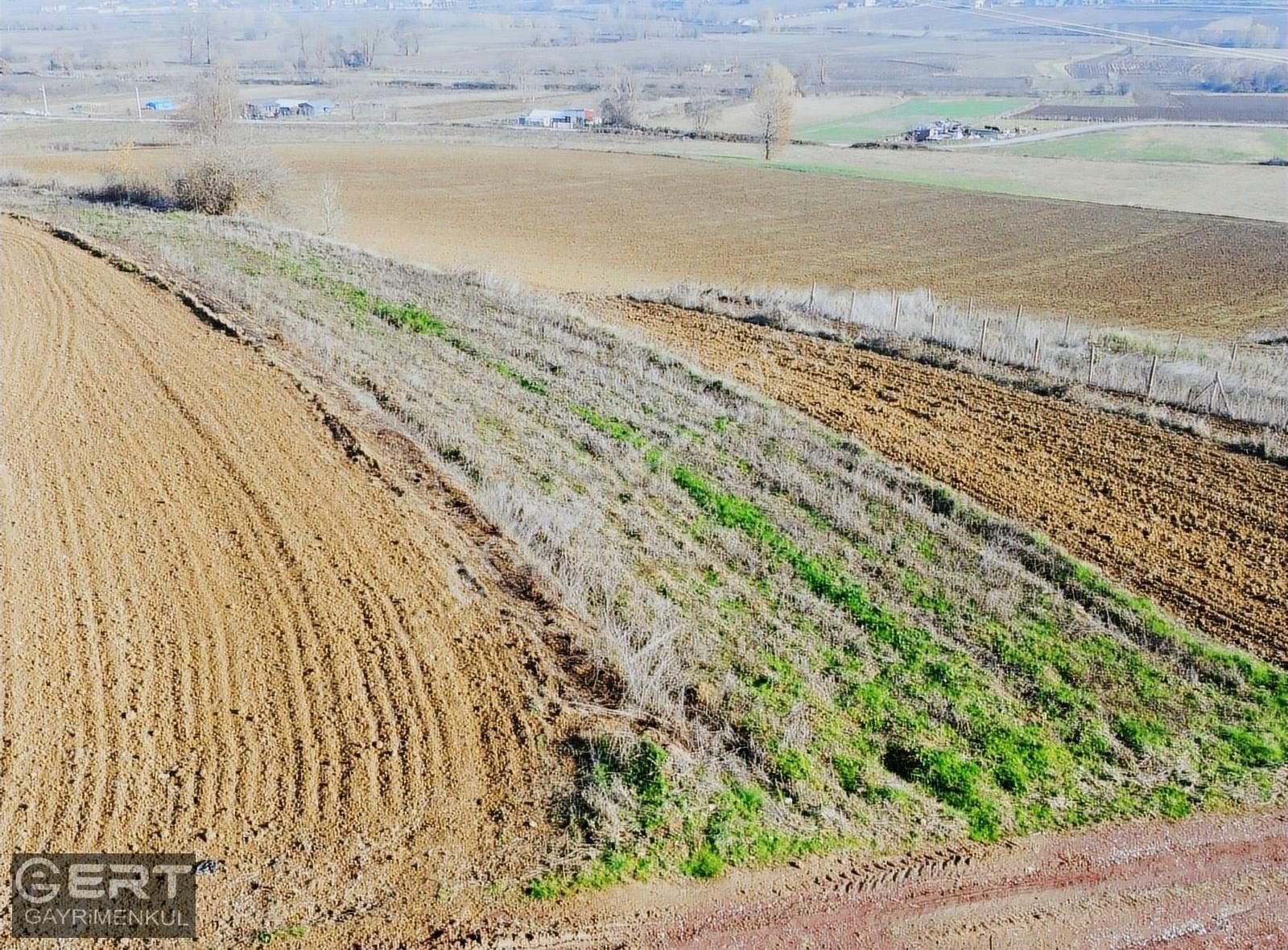 Adapazarı Kayrancık Satılık Tarla Kayrancıkta İmara Yakın 368 M2 Satılık Arazi