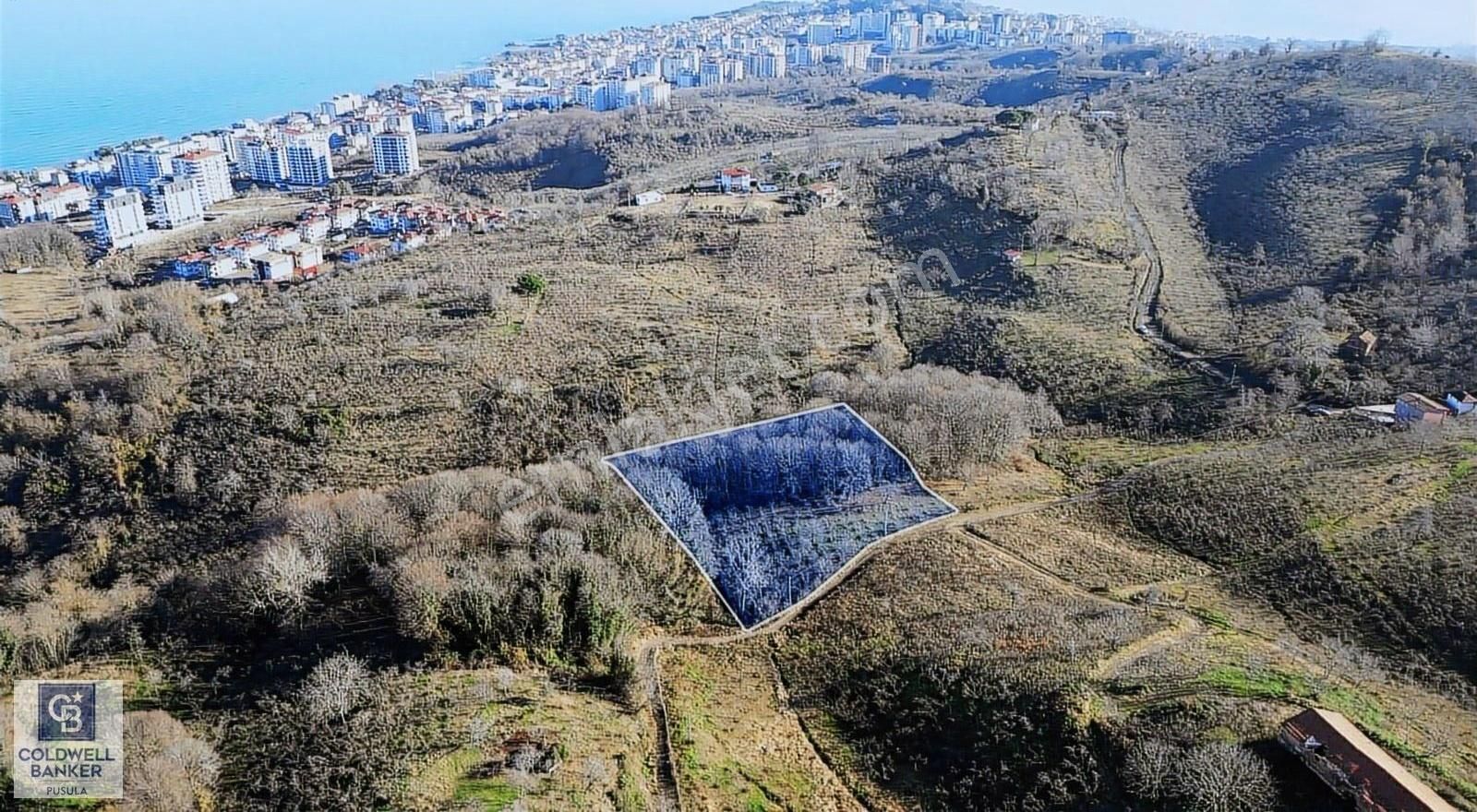 Ünye Gölevi Satılık Bağ & Bahçe Ünye Gölevi Mahallesi 8628m2 Satılık Bahçe