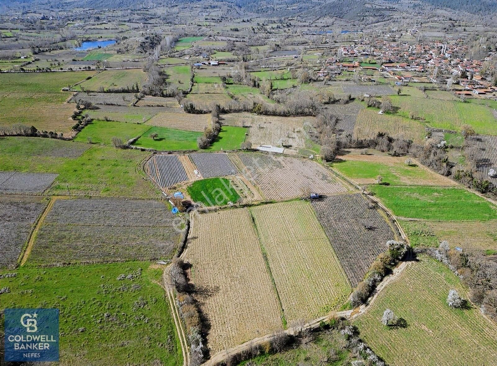 Yenice Örencik Köyü Satılık Tarla Çanakkale Yenice Örencik Köyünde Satılık Köye Yakın Fırsat Tarla