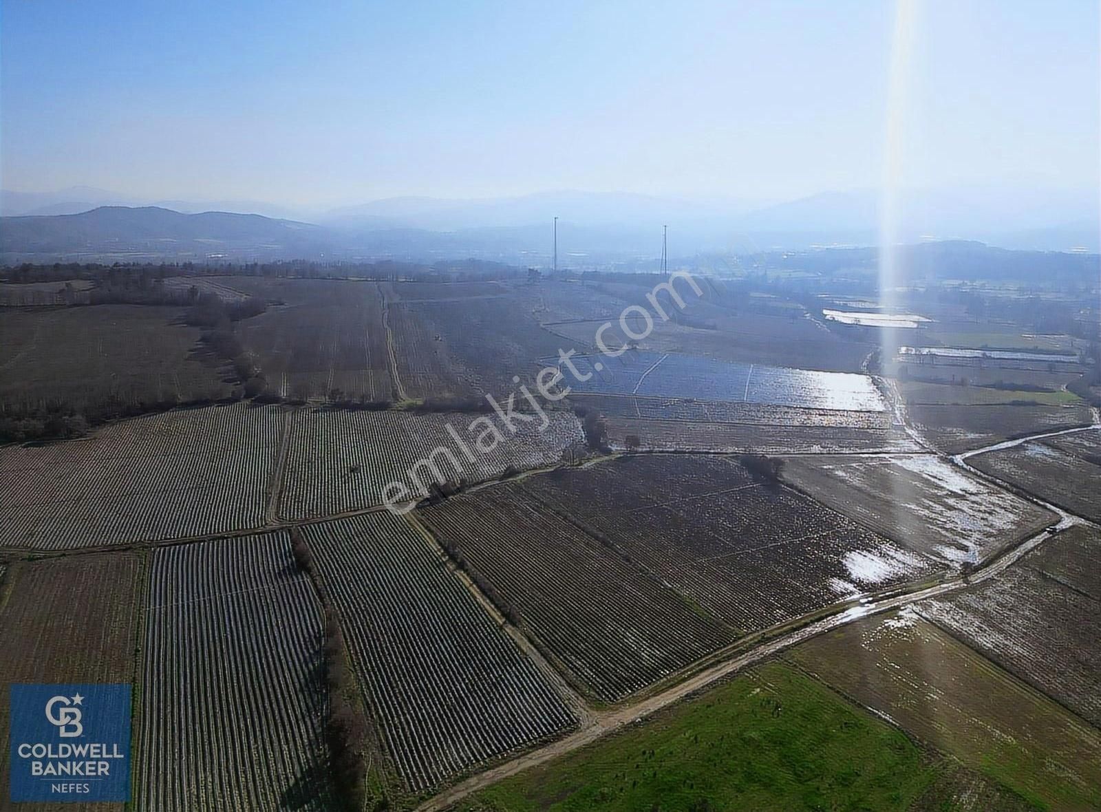 Yenice Hamdibey Köyü Satılık Tarla Çanakkale Yenice Hamdibey'de 5892 M² Satılık Tarla !