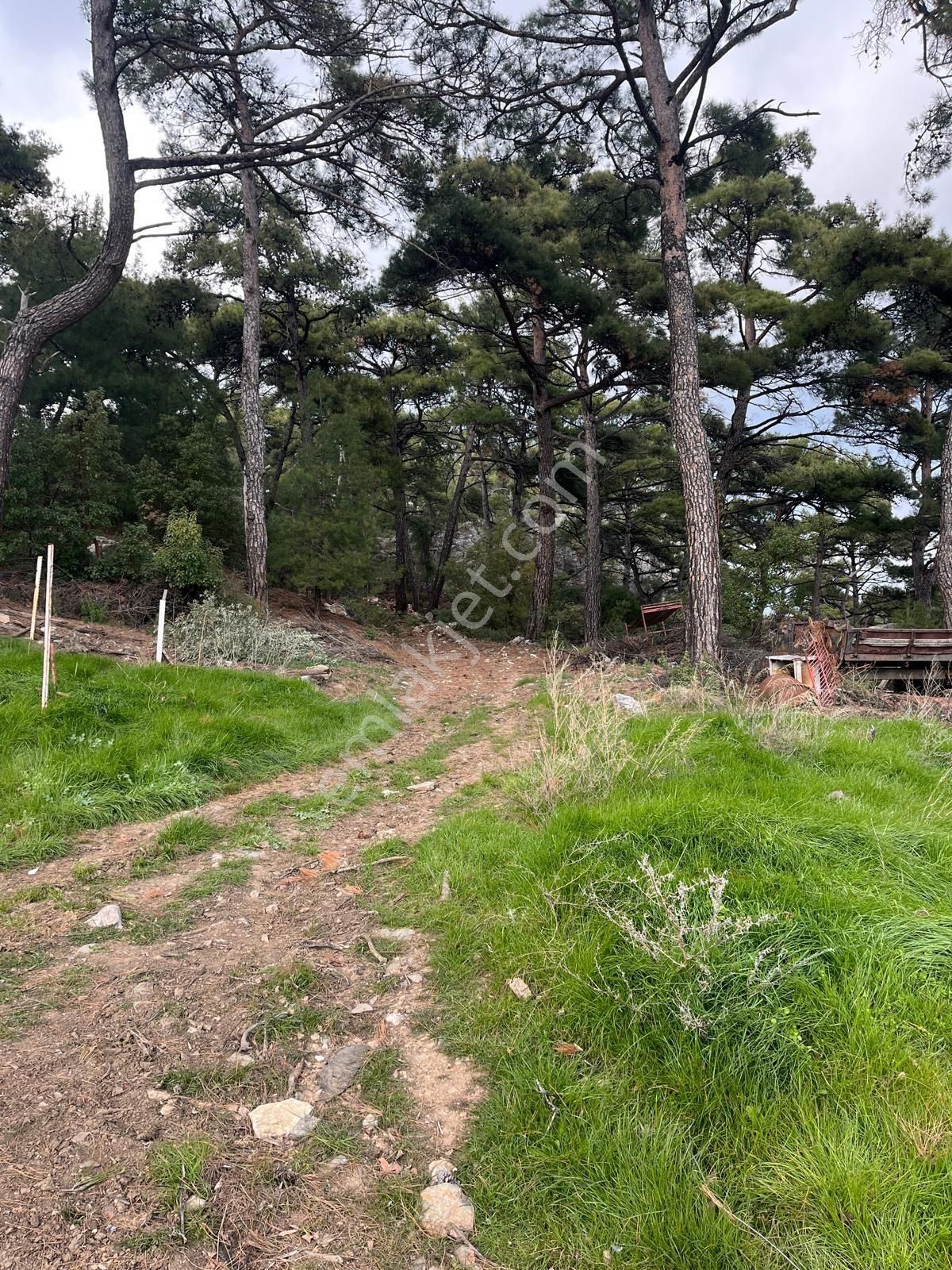 Rota- Altınoluk 4 Dönüm Zeytinlik Yol-su-elk - Görsel 27