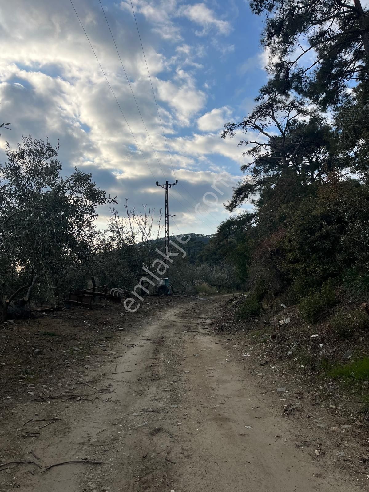 Rota- Altınoluk 4 Dönüm Zeytinlik Yol-su-elk - Görsel 4
