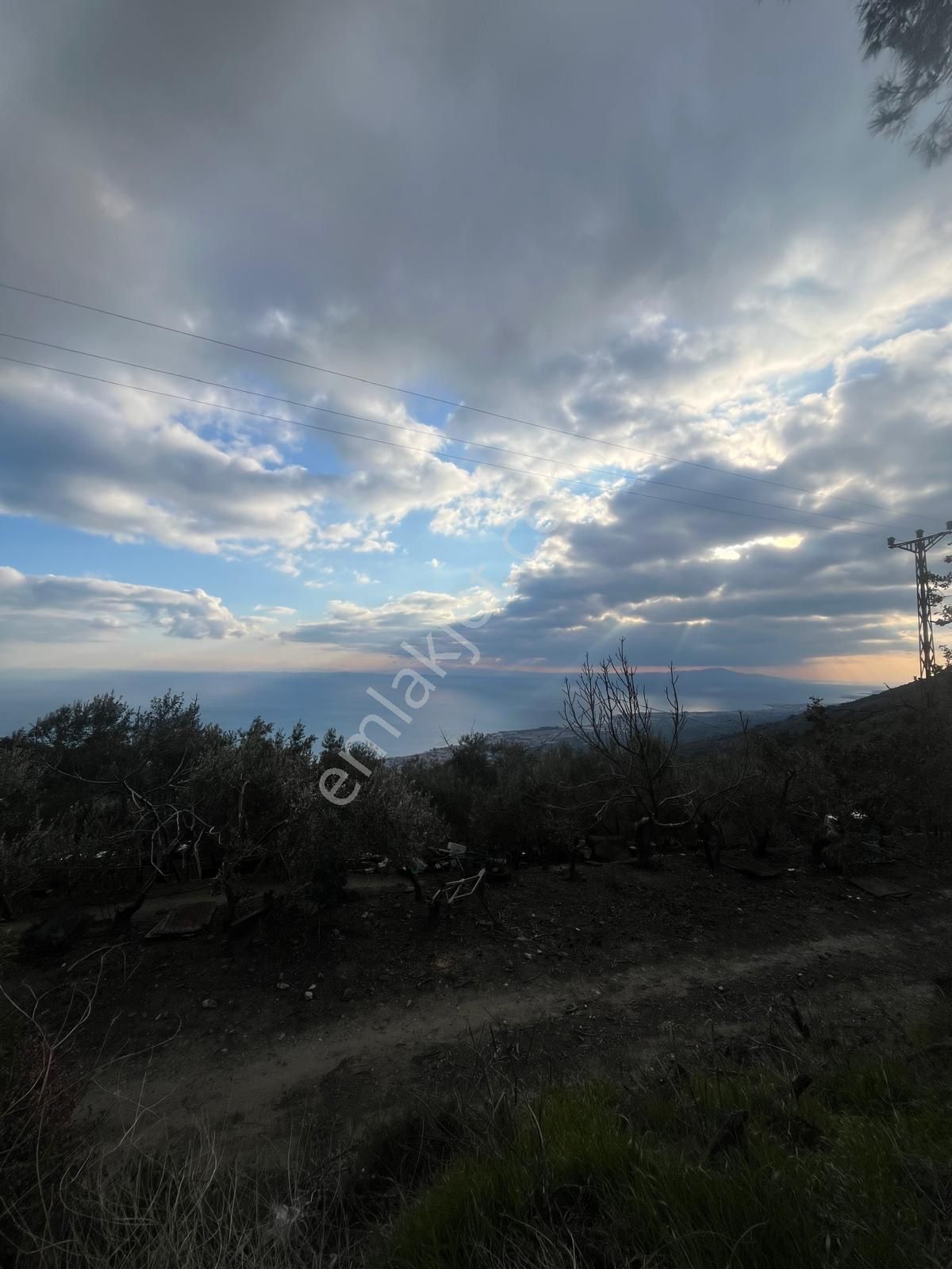 Rota- Altınoluk 4 Dönüm Zeytinlik Yol-su-elk - Görsel 5
