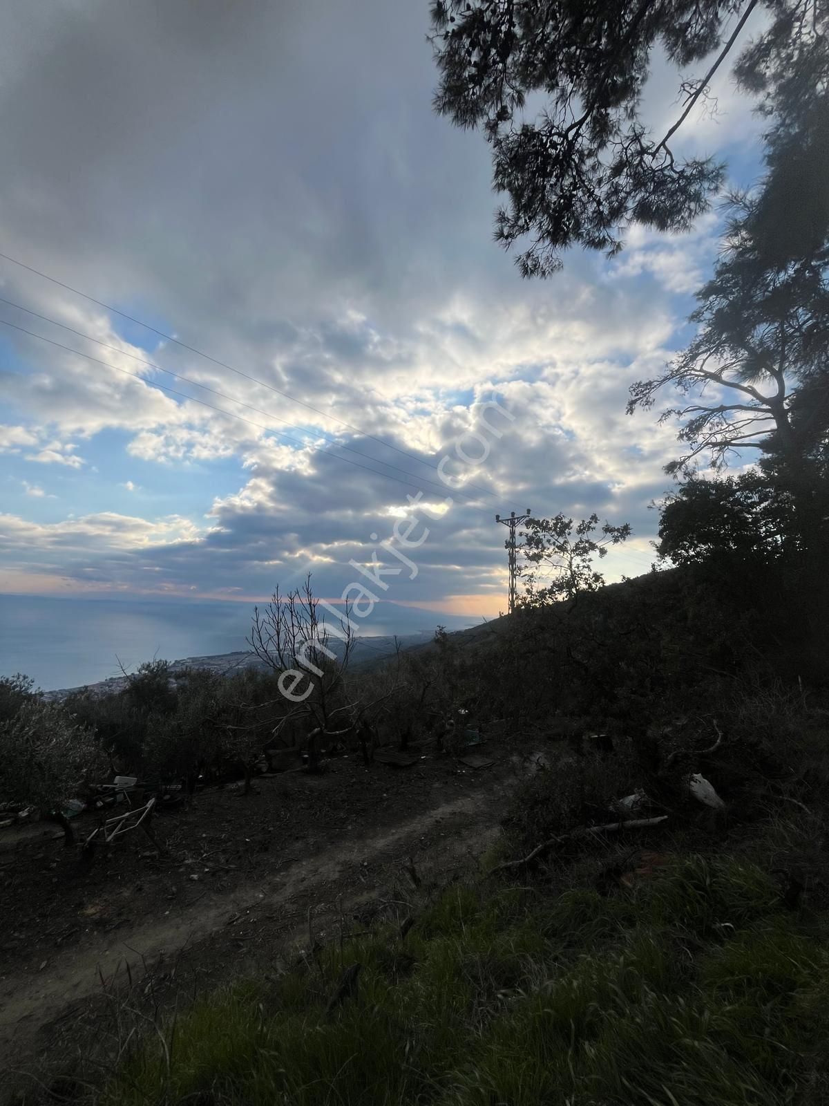Rota- Altınoluk 4 Dönüm Zeytinlik Yol-su-elk - Görsel 6