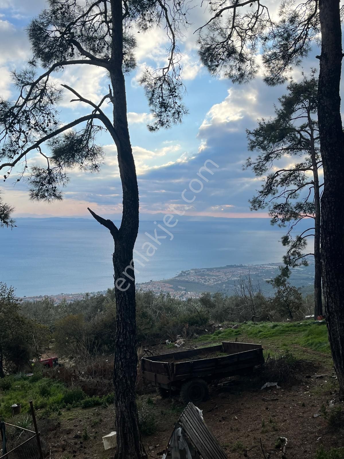 Rota- Altınoluk 4 Dönüm Zeytinlik Yol-su-elk - Görsel 8